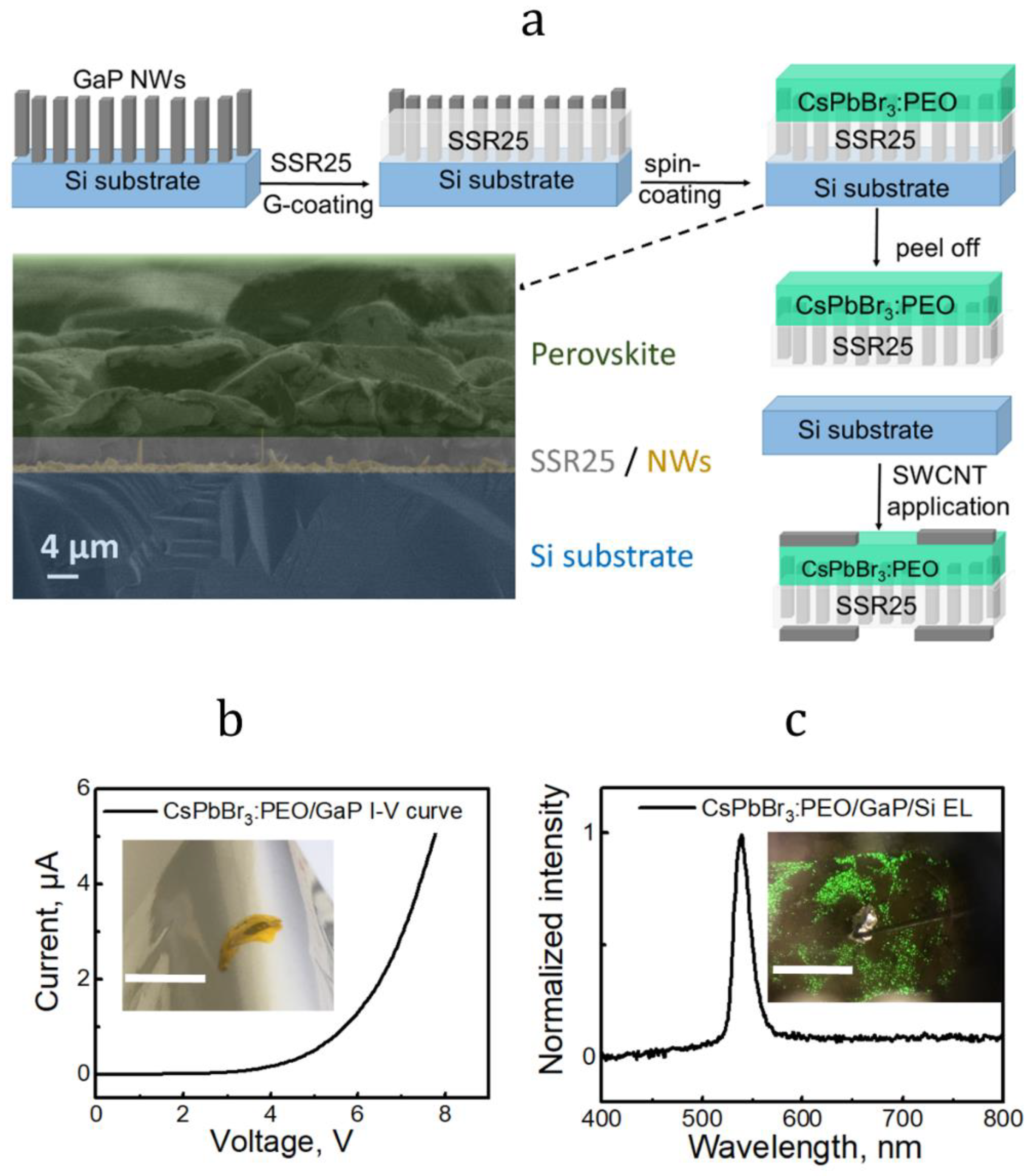 Materials 15 08731 g005
