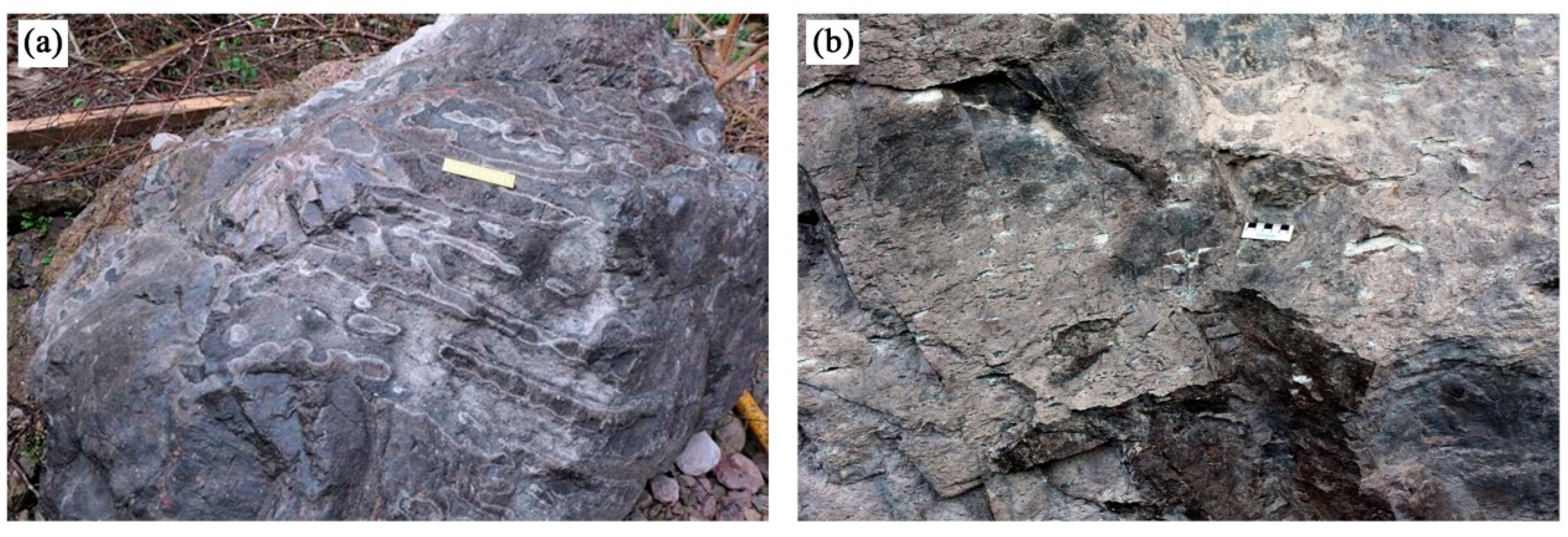 Materials 15 08757 g004