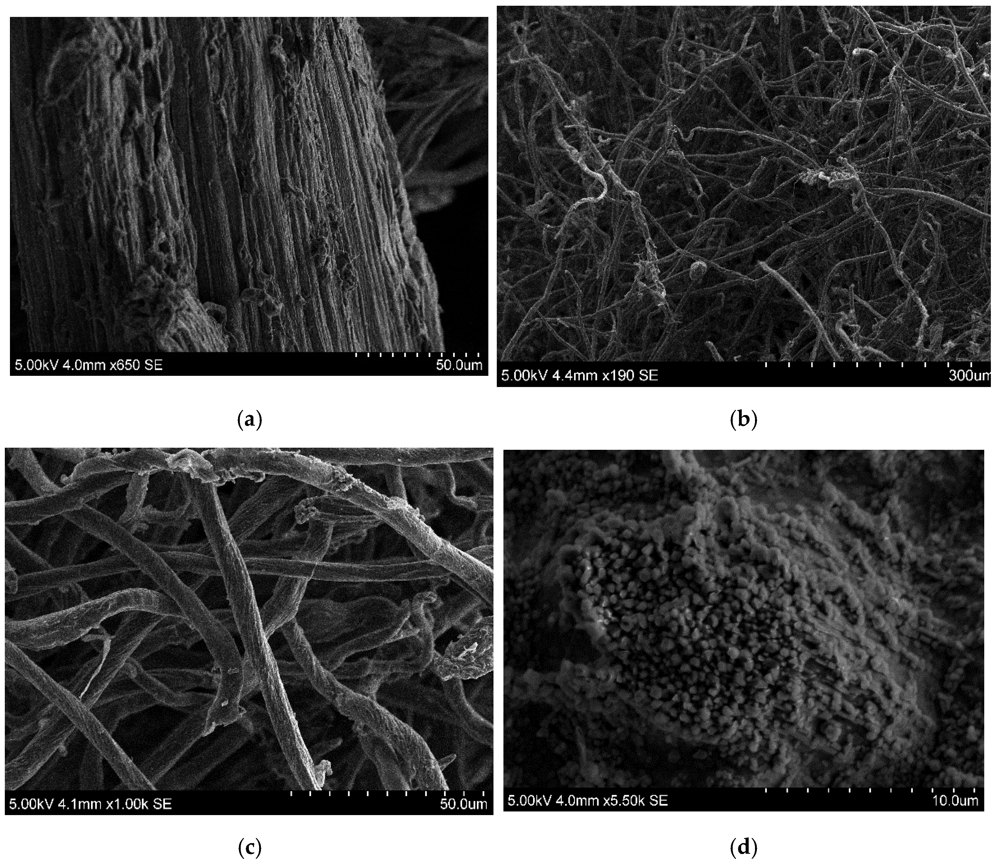 Materials 15 08760 g003