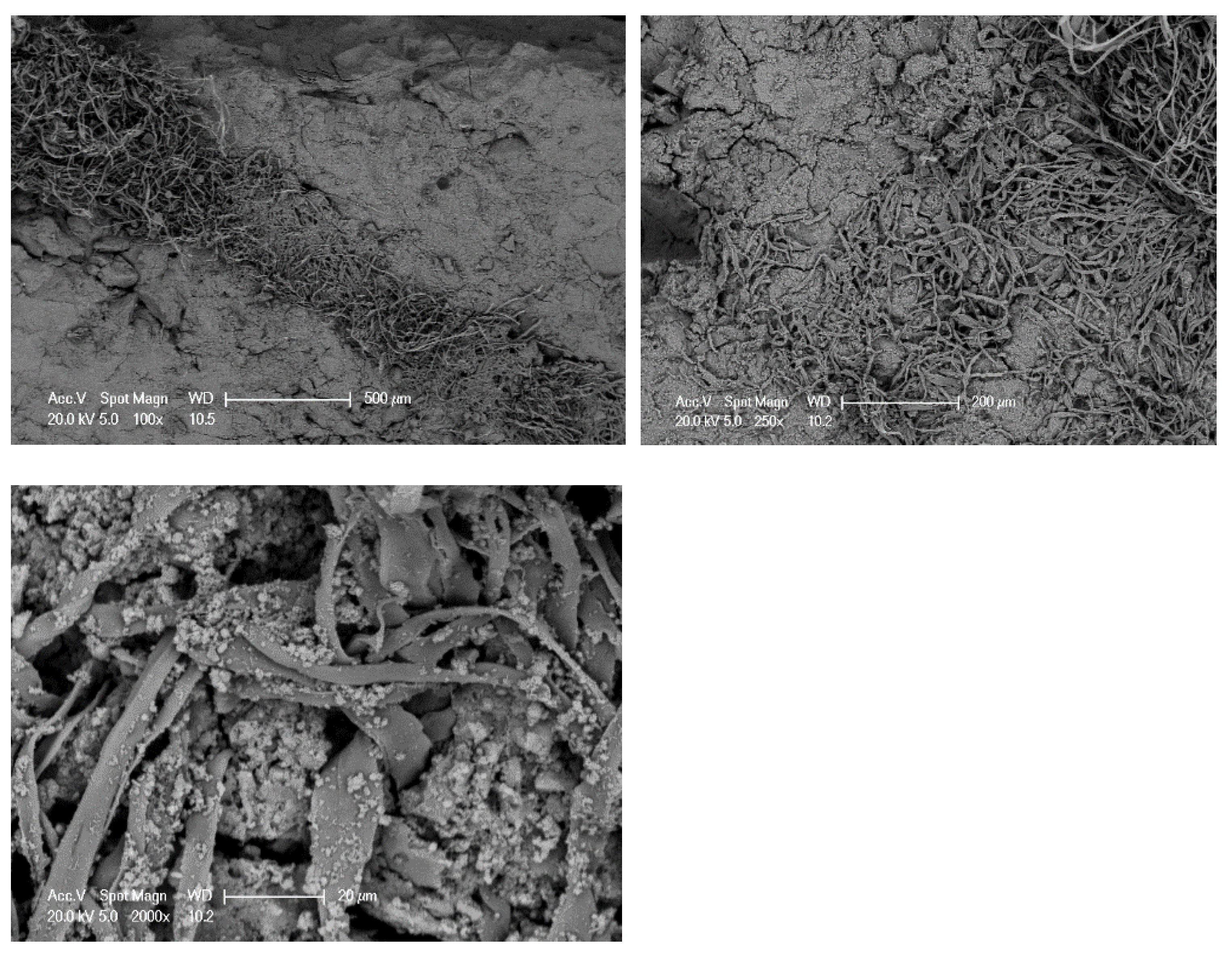 Materials 15 08766 g019 Materials 15 08766 g019