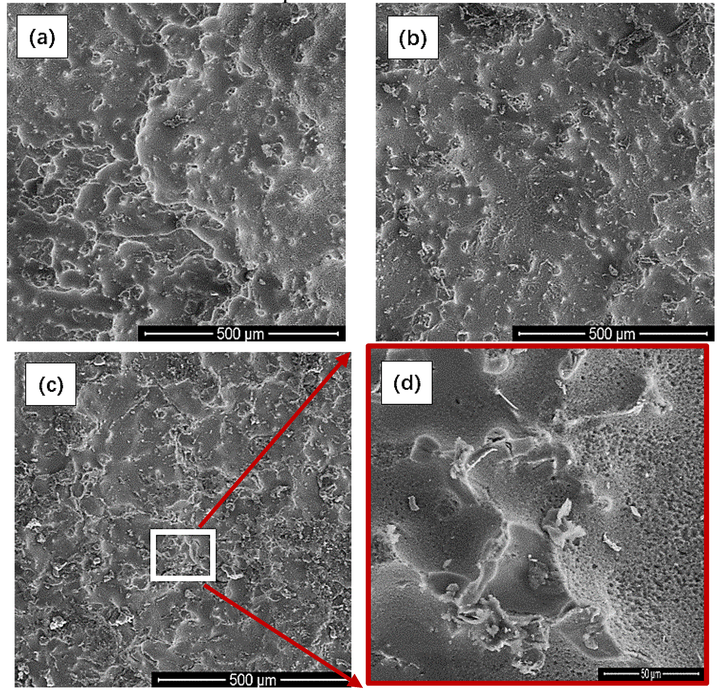 Materials 15 08788 g010 550