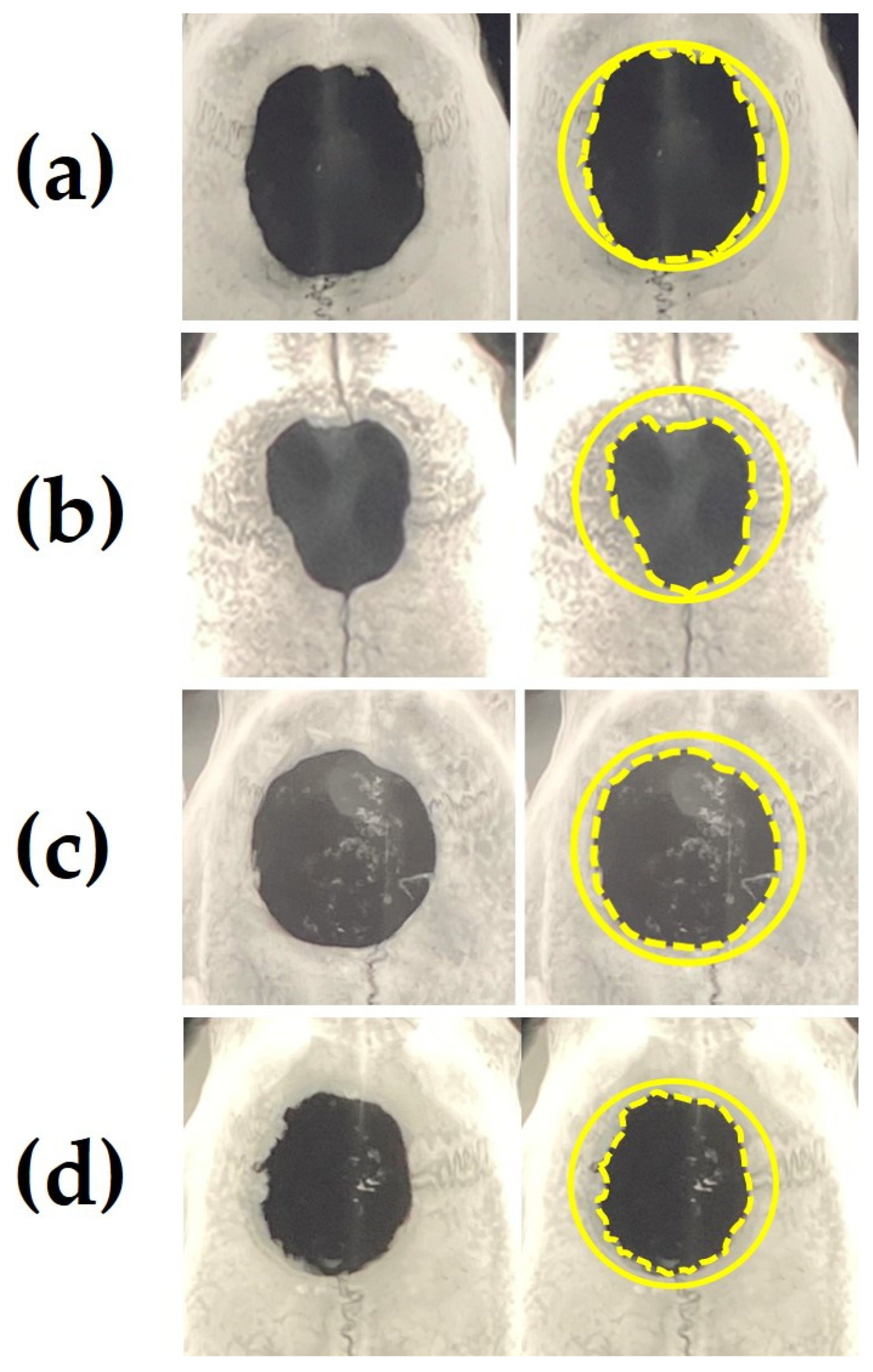 Materials 15 08802 g009 Materials 15 08802 g009