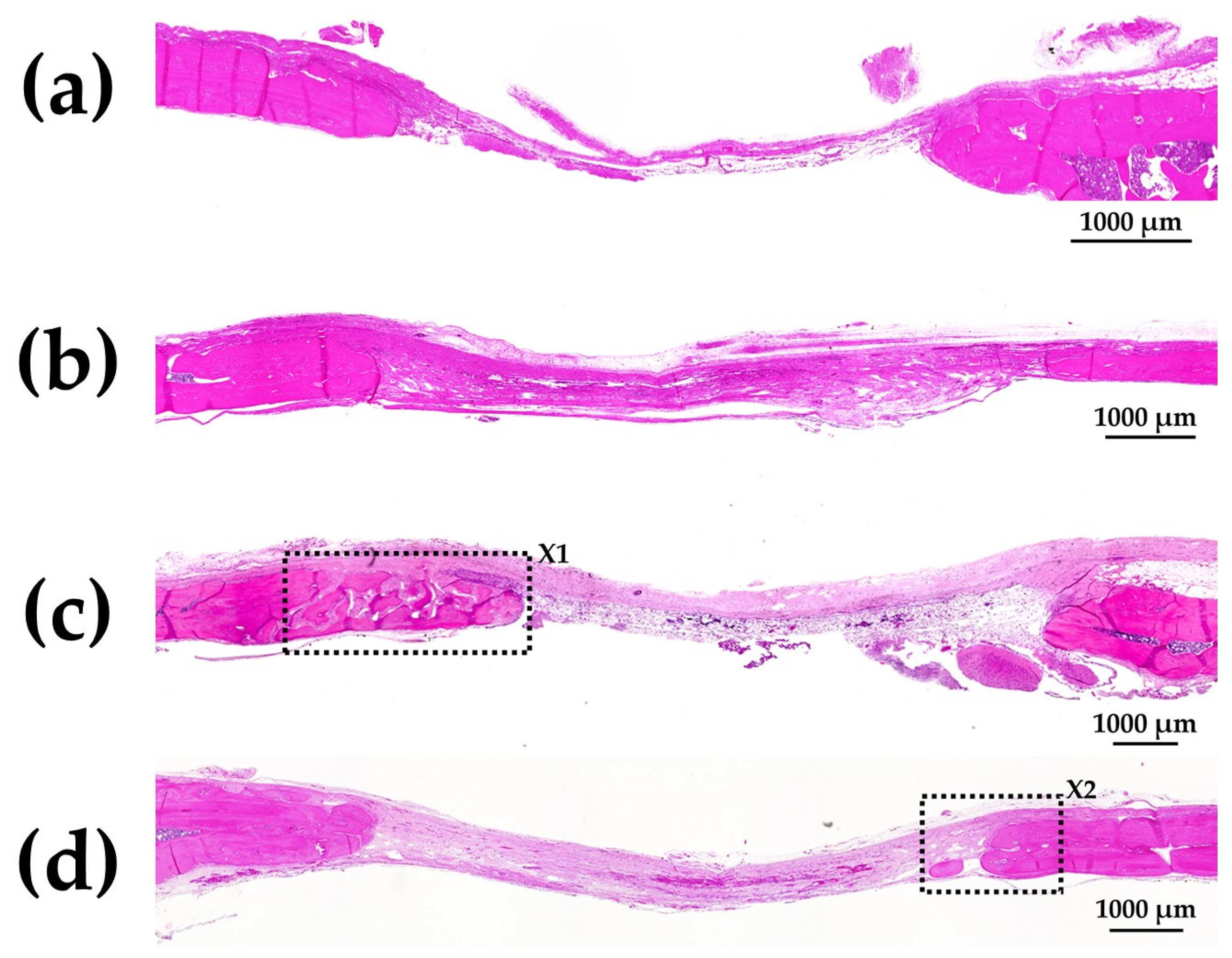 Materials 15 08802 g011 Materials 15 08802 g011