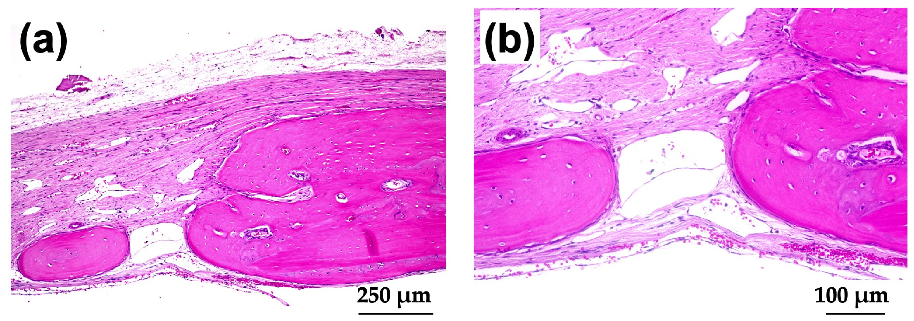 Materials 15 08802 g013 Materials 15 08802 g013
