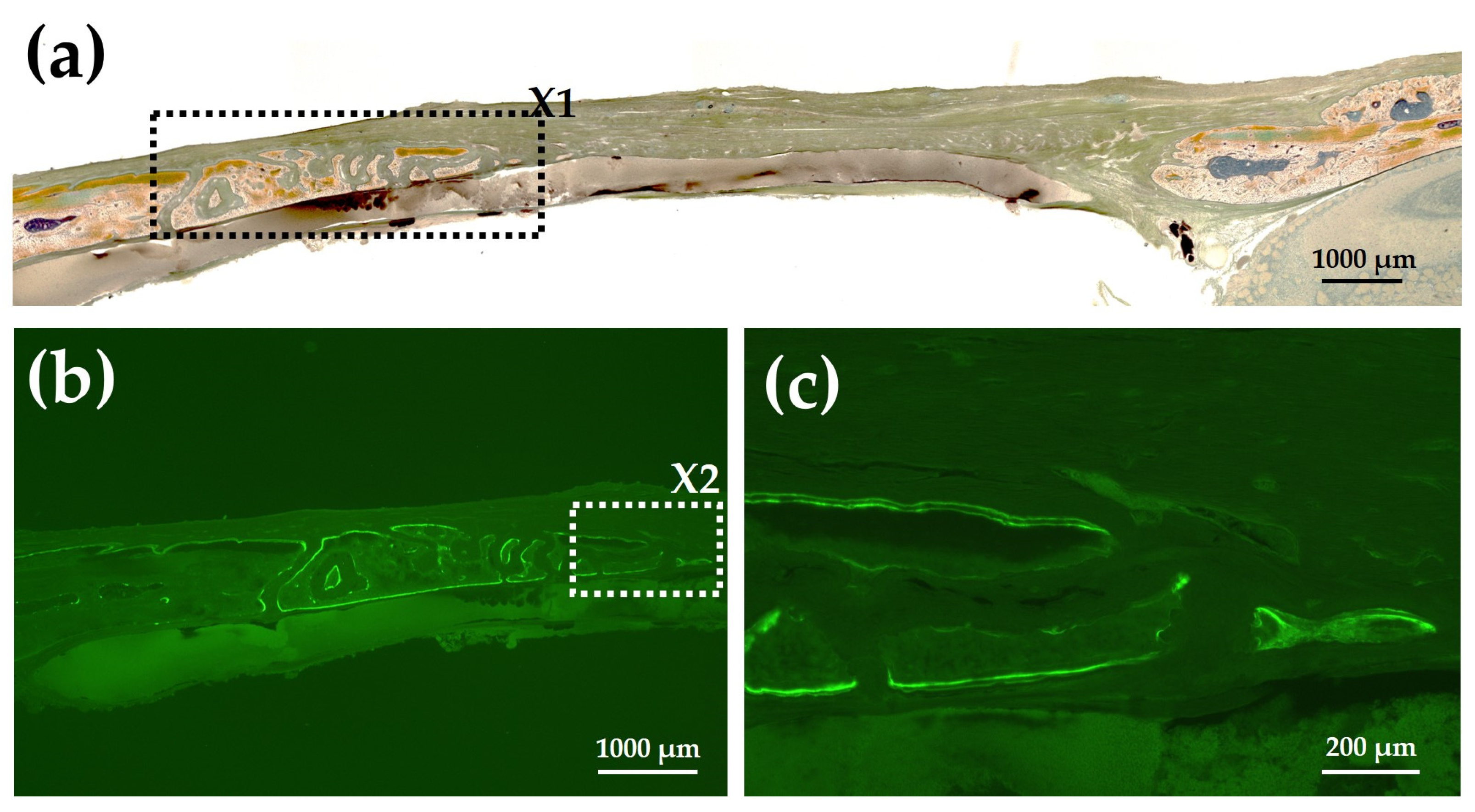Materials 15 08802 g014 Materials 15 08802 g014