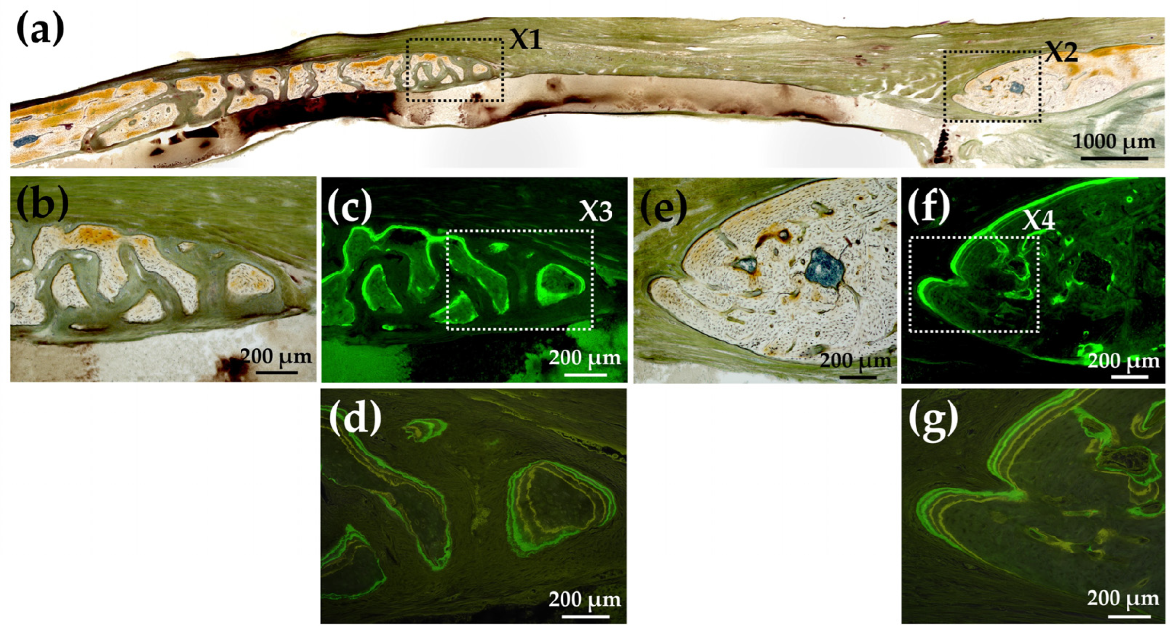 Materials 15 08802 g016 Materials 15 08802 g016