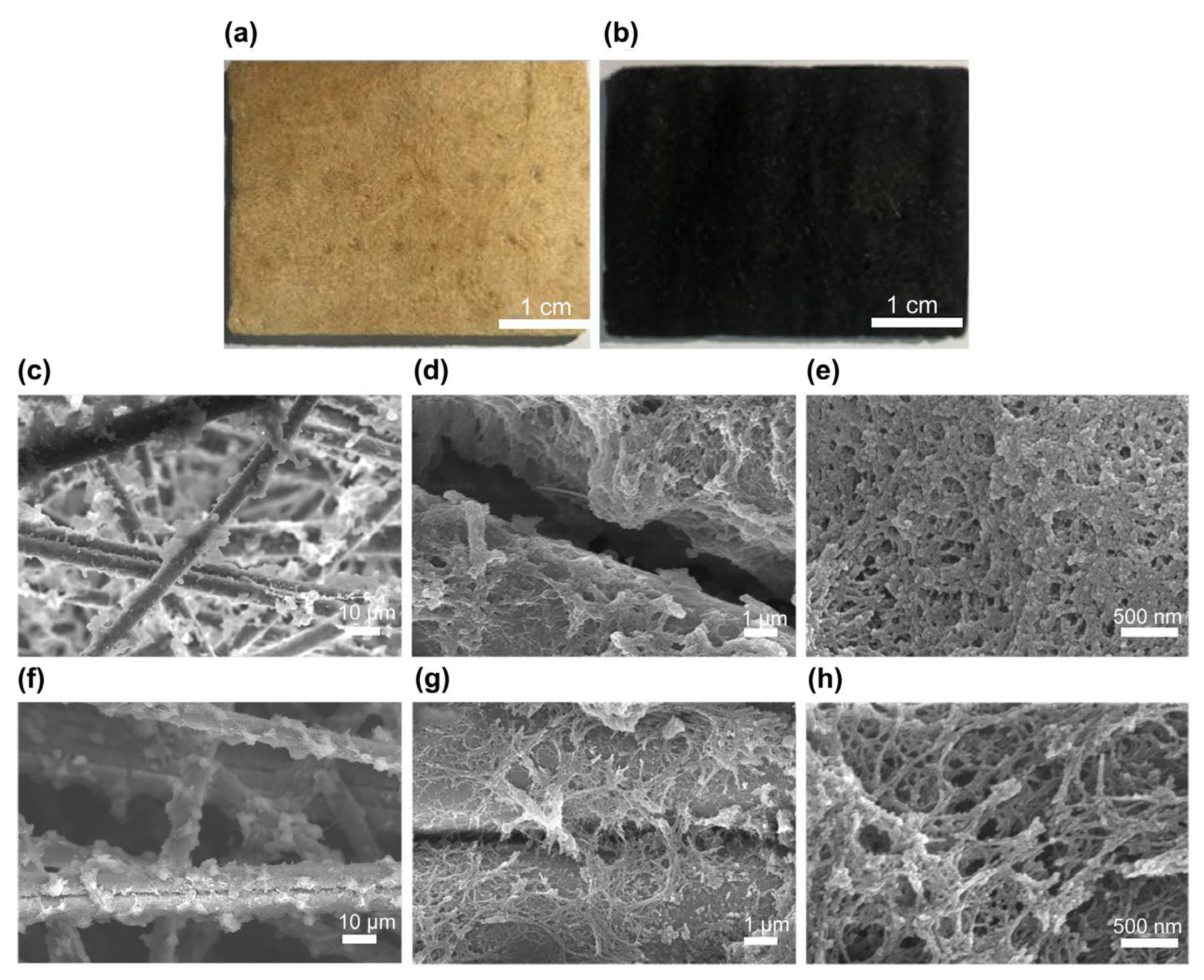 Materials 15 08811 g006