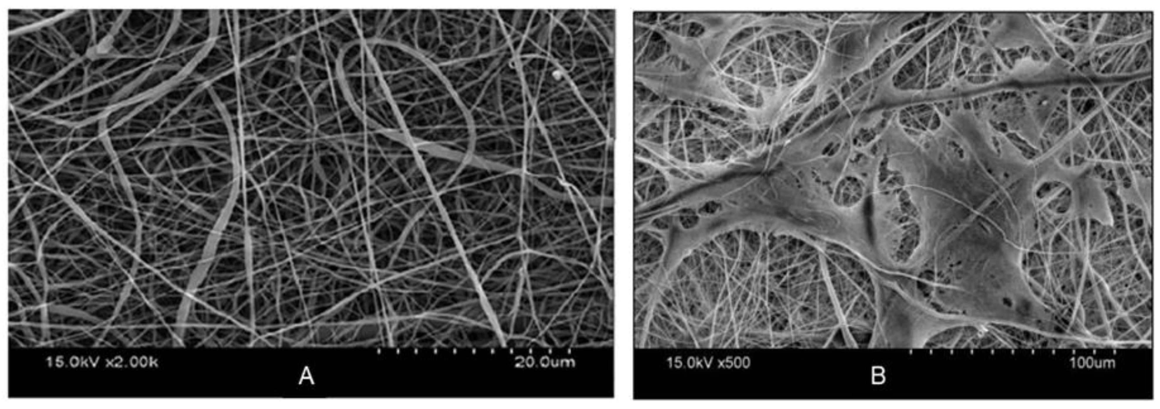 Materials 15 08820 g016