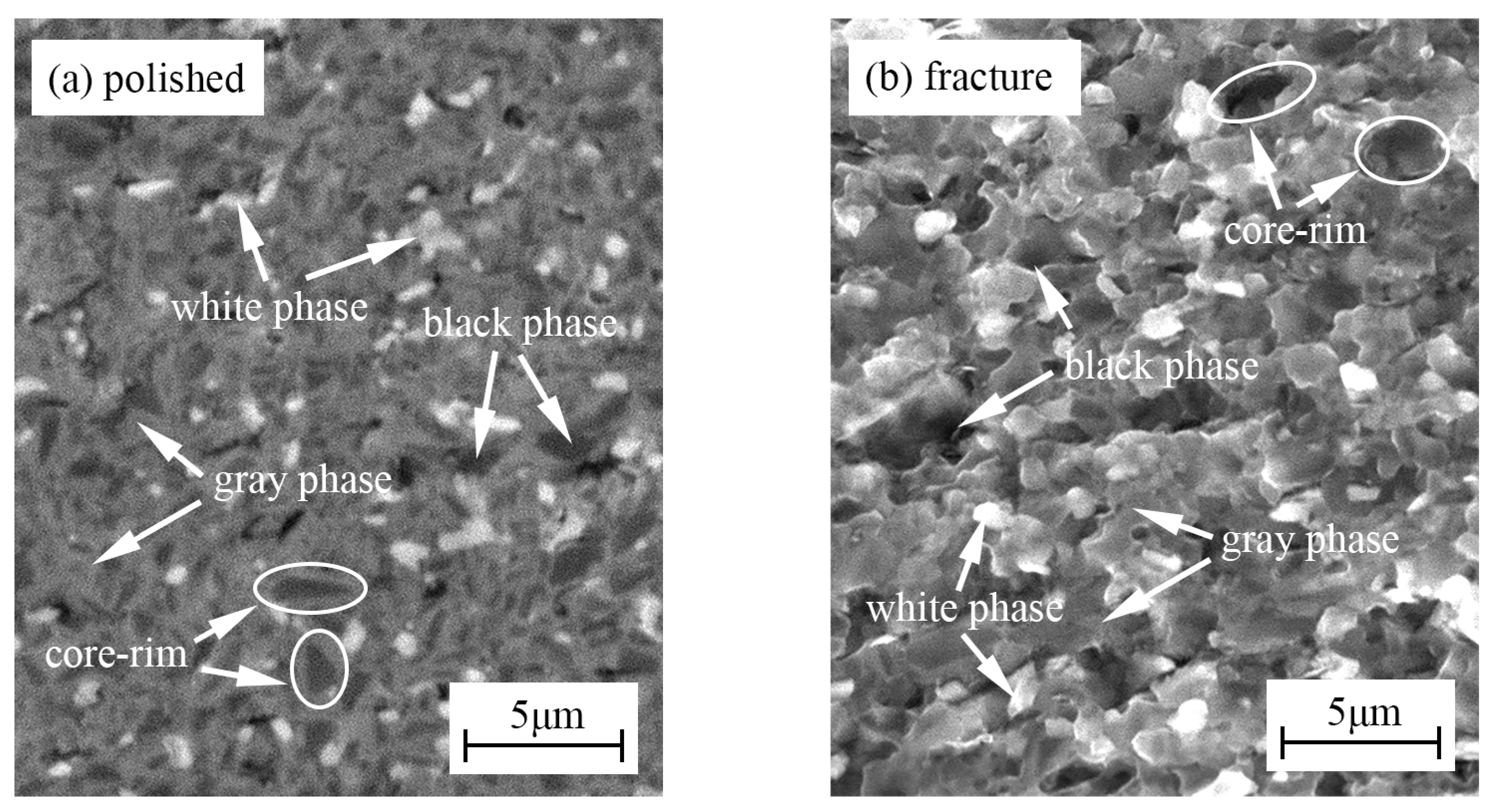 Materials 15 08860 g002