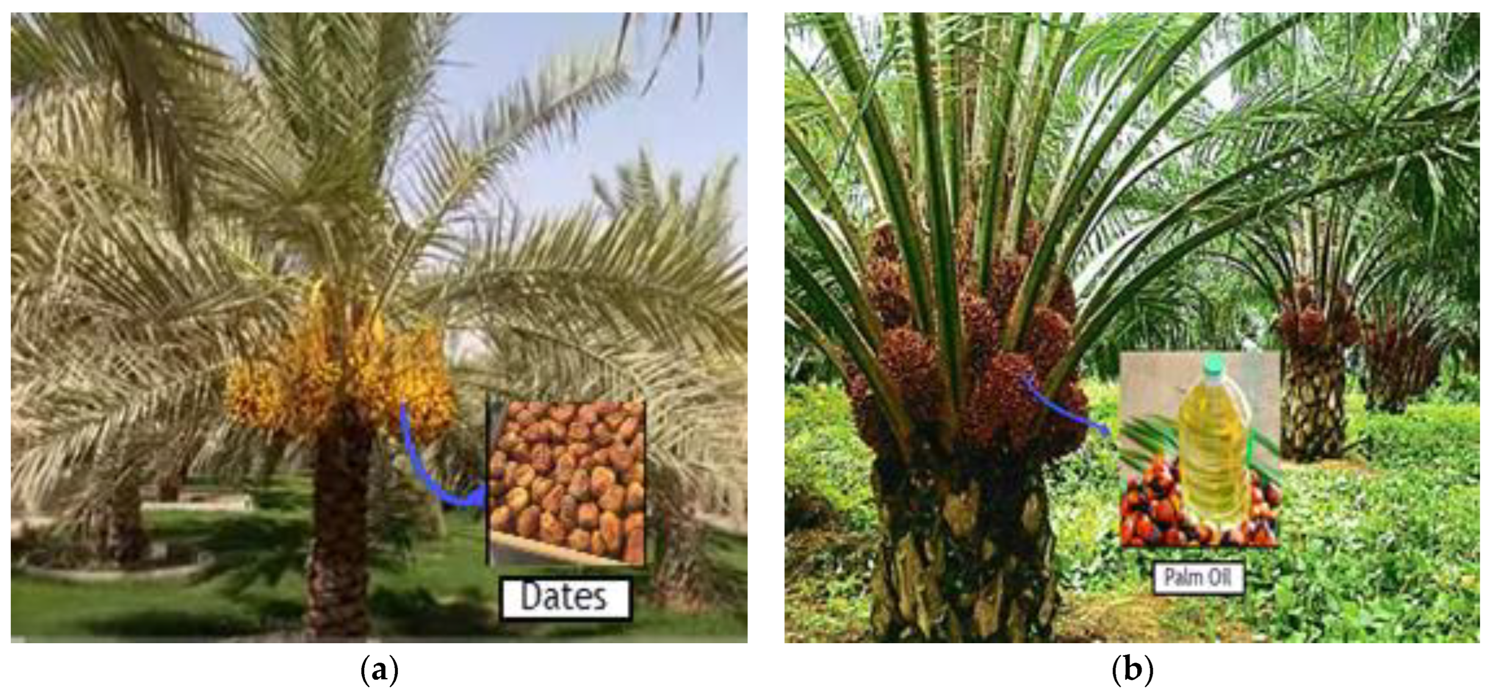 Materials 15 08866 g001