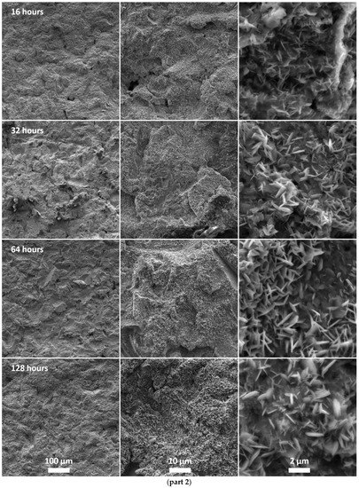 Phase Changes in the Surface Layer of Stainless Steel Annealed at a ...