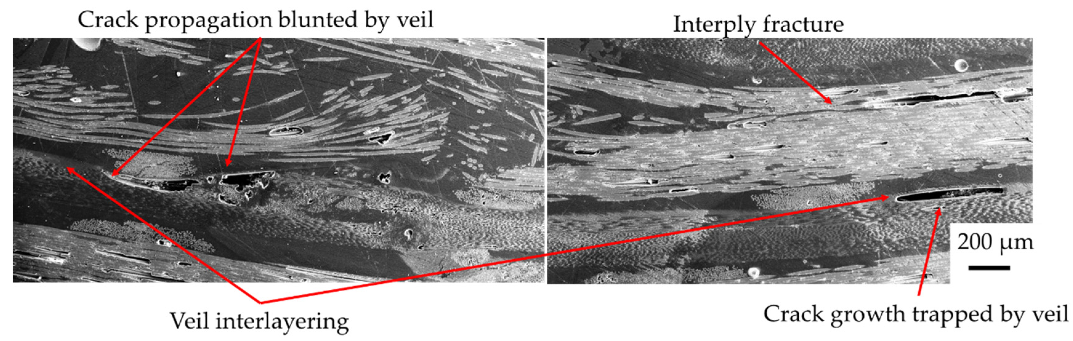 Materials 15 08877 g022