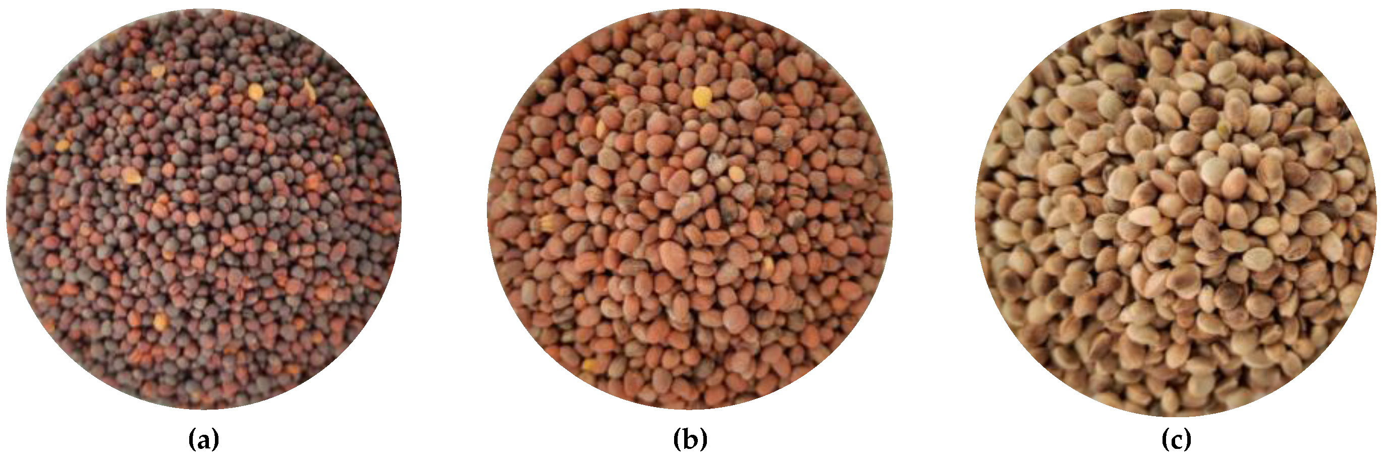 Materials 15 08891 g002