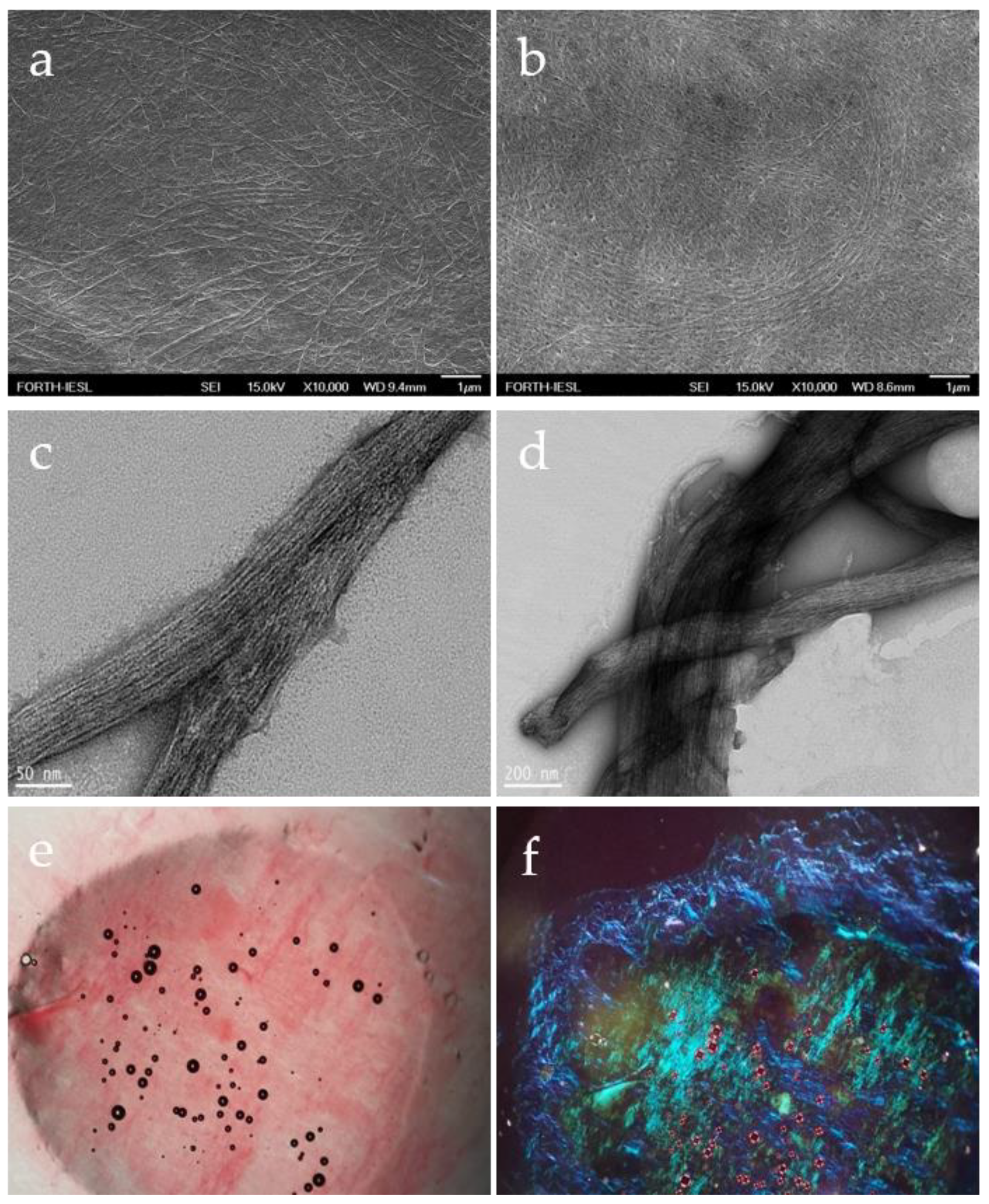 Materials 15 08928 g002