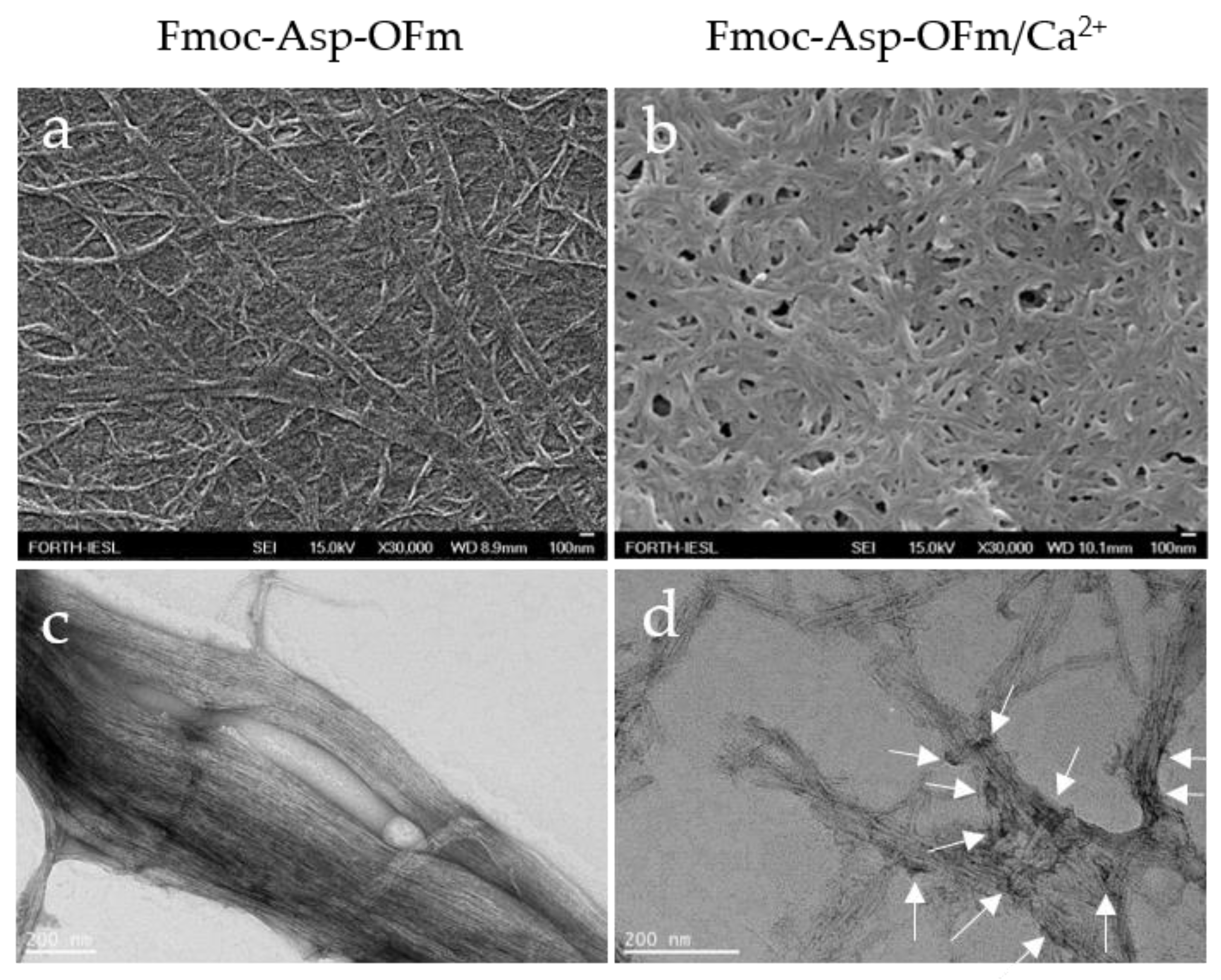Materials 15 08928 g003