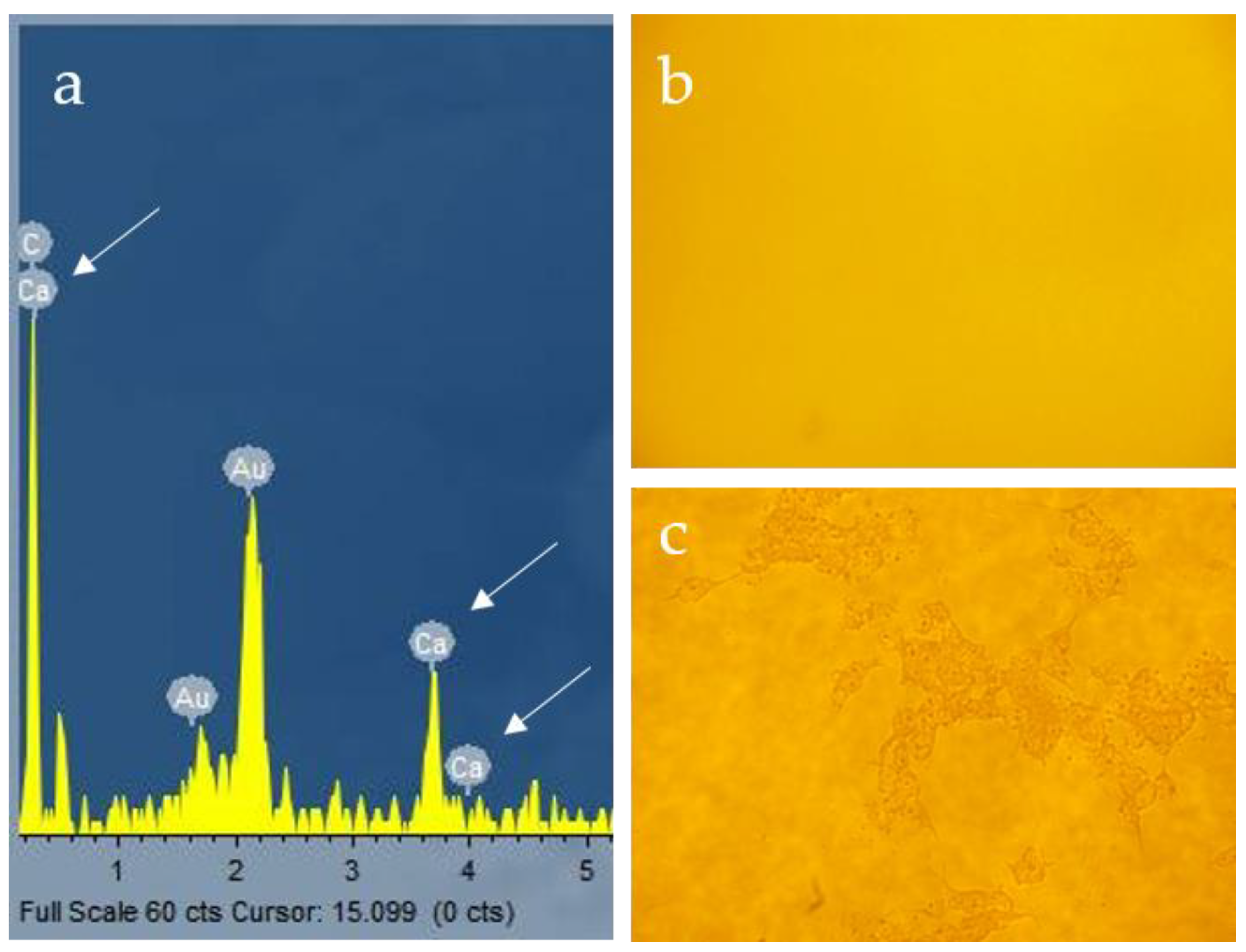 Materials 15 08928 g004