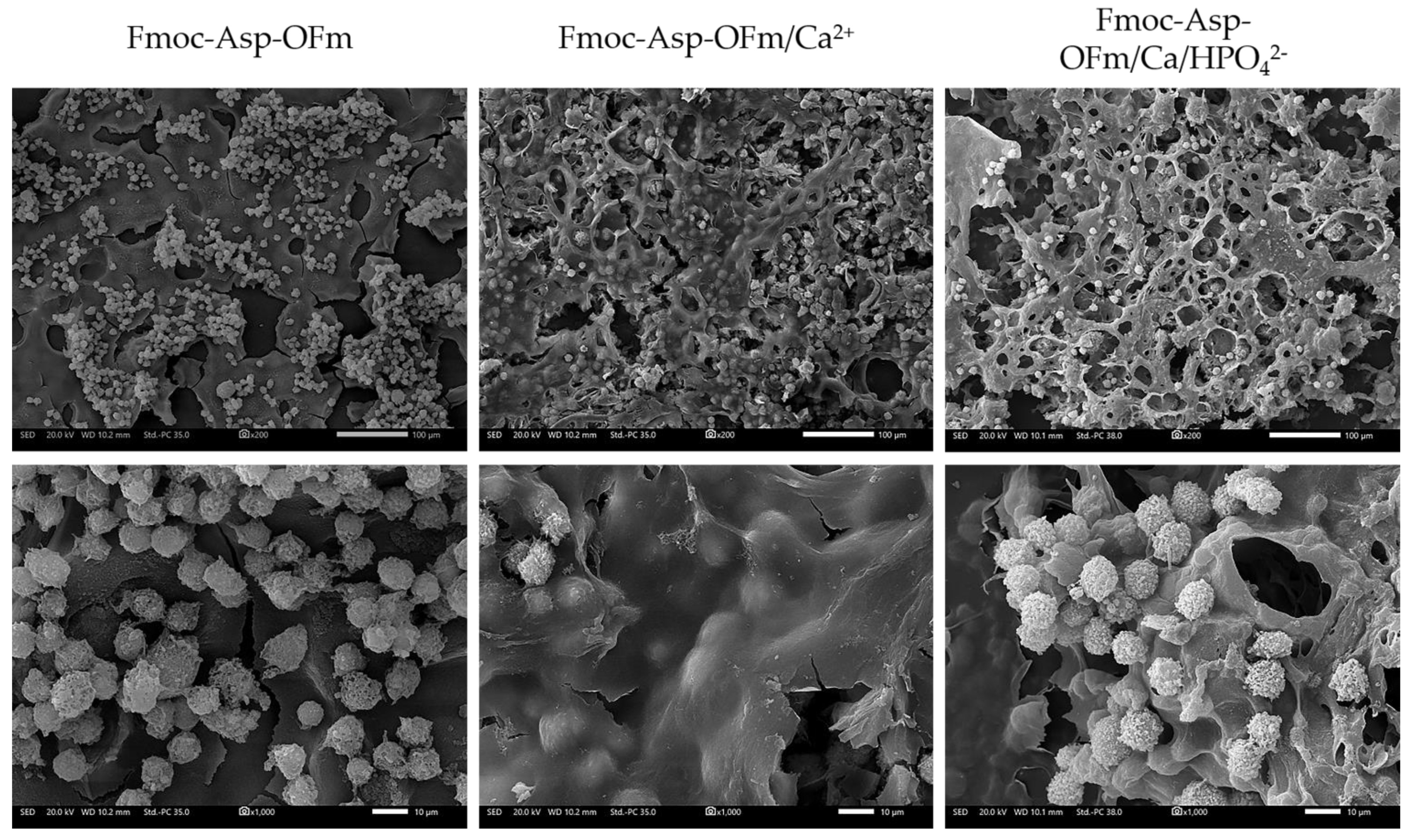 Materials 15 08928 g006