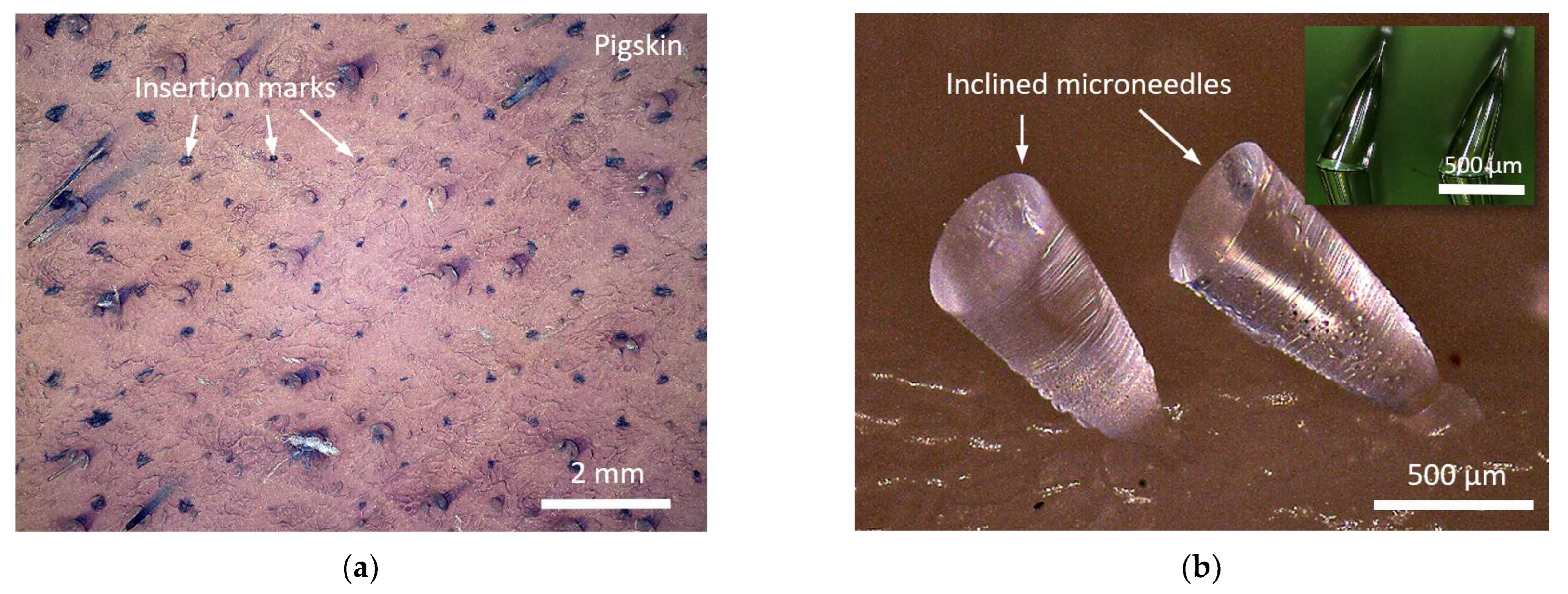 Materials 15 08934 g006