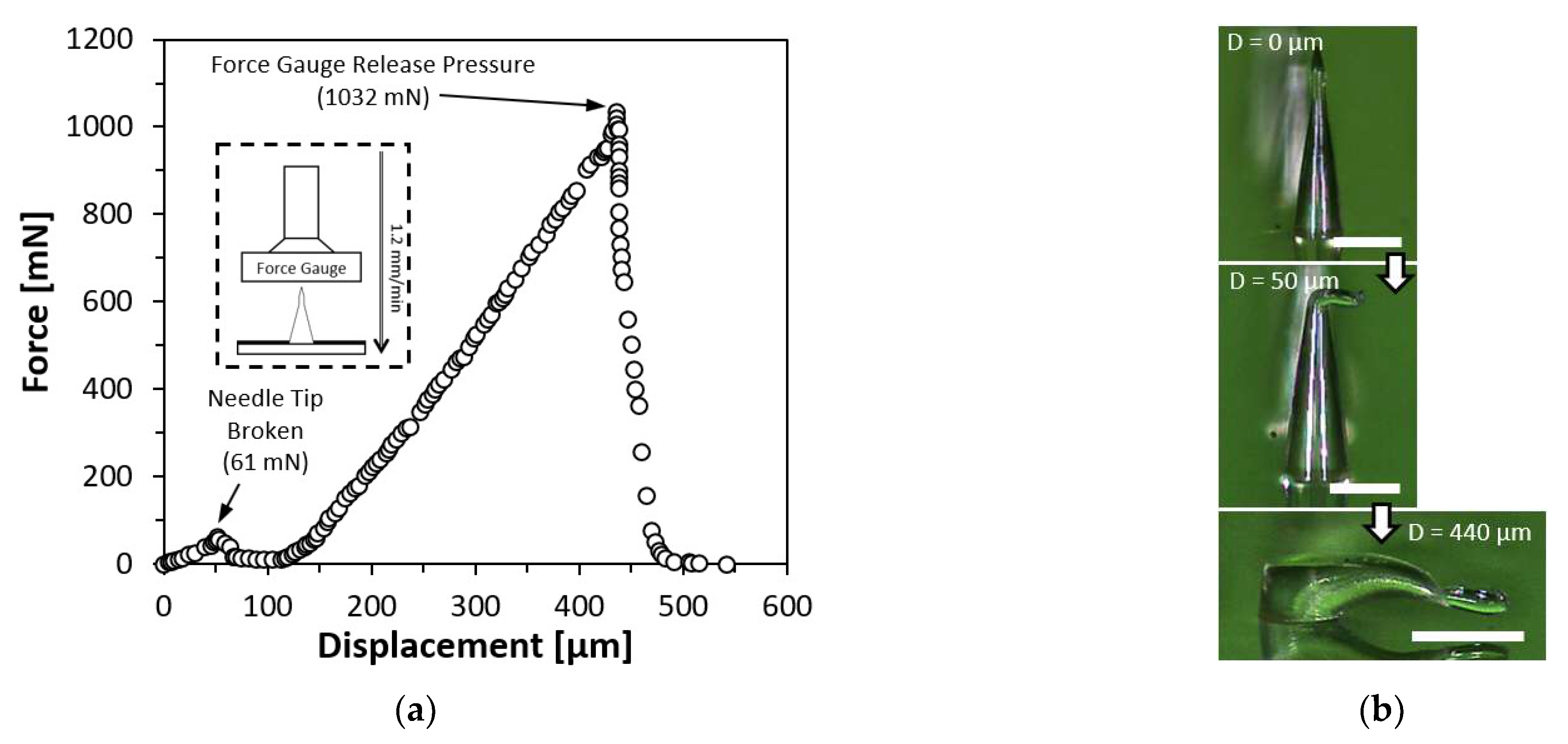 Materials 15 08934 g007