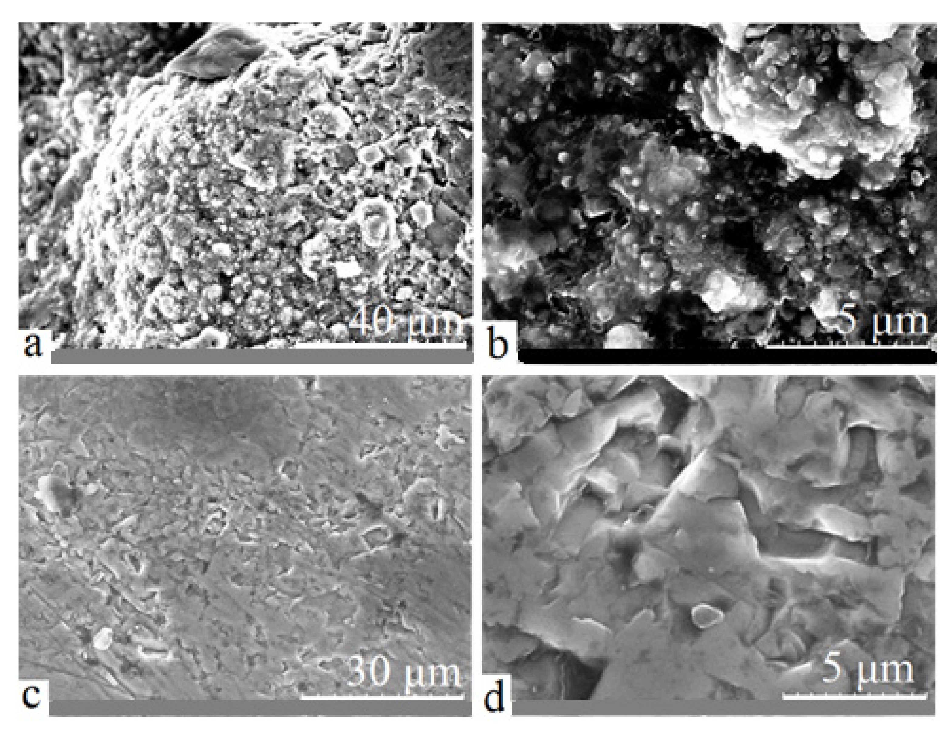 Materials 15 08941 g004 Materials 15 08941 g004