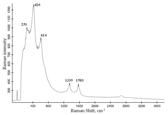 Tribological Properties of Ti-TiC Composite Coatings on Titanium Alloys