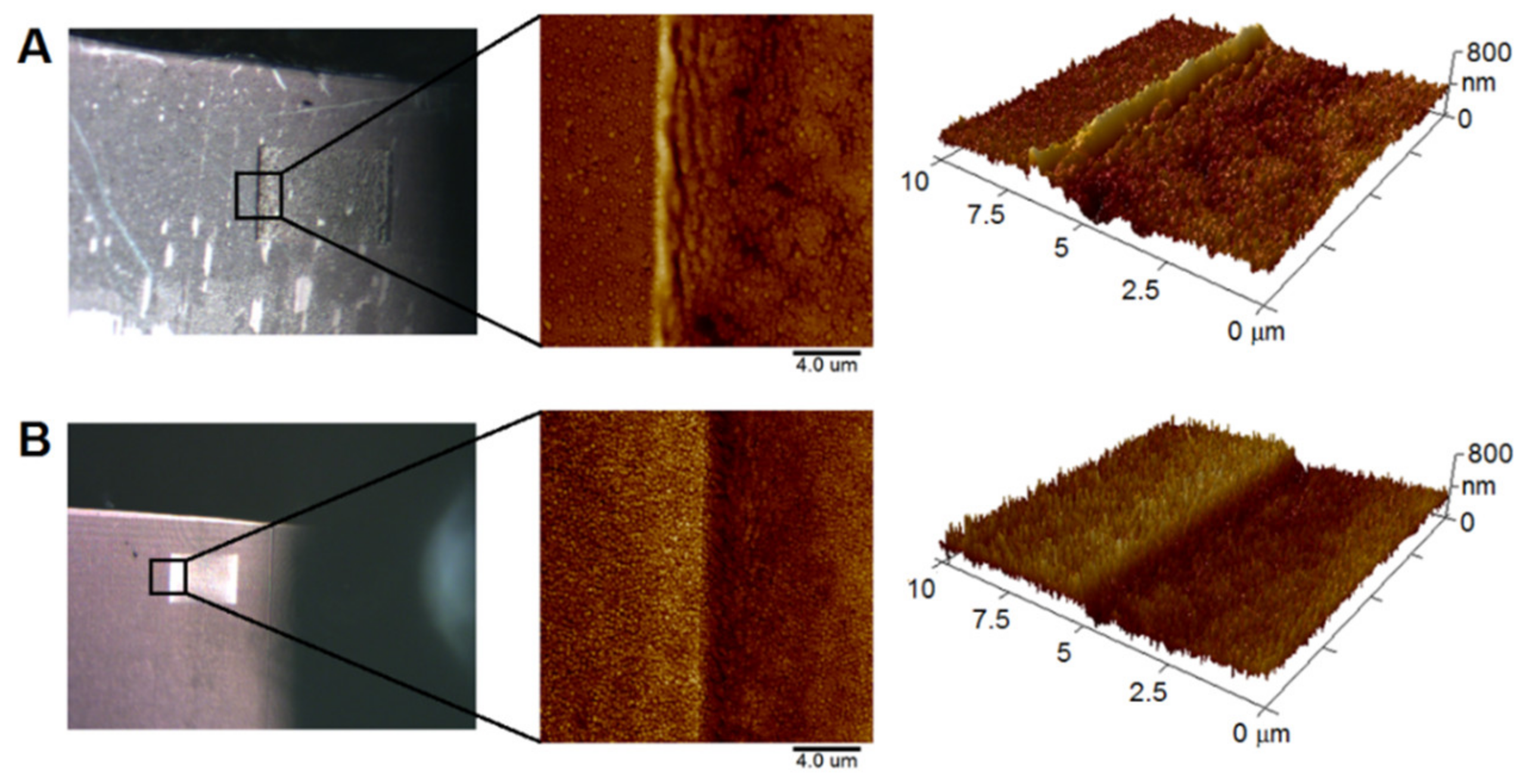 Materials 15 08950 g006