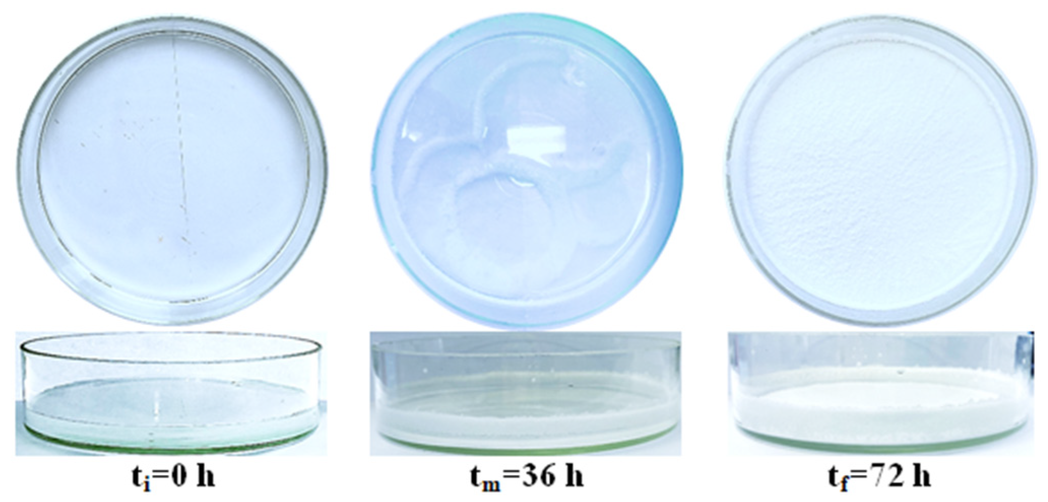 Materials 15 08960 g001