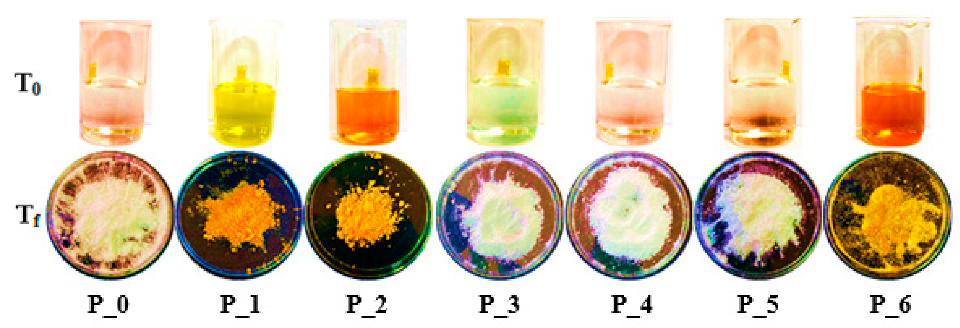 Materials 15 08960 g002