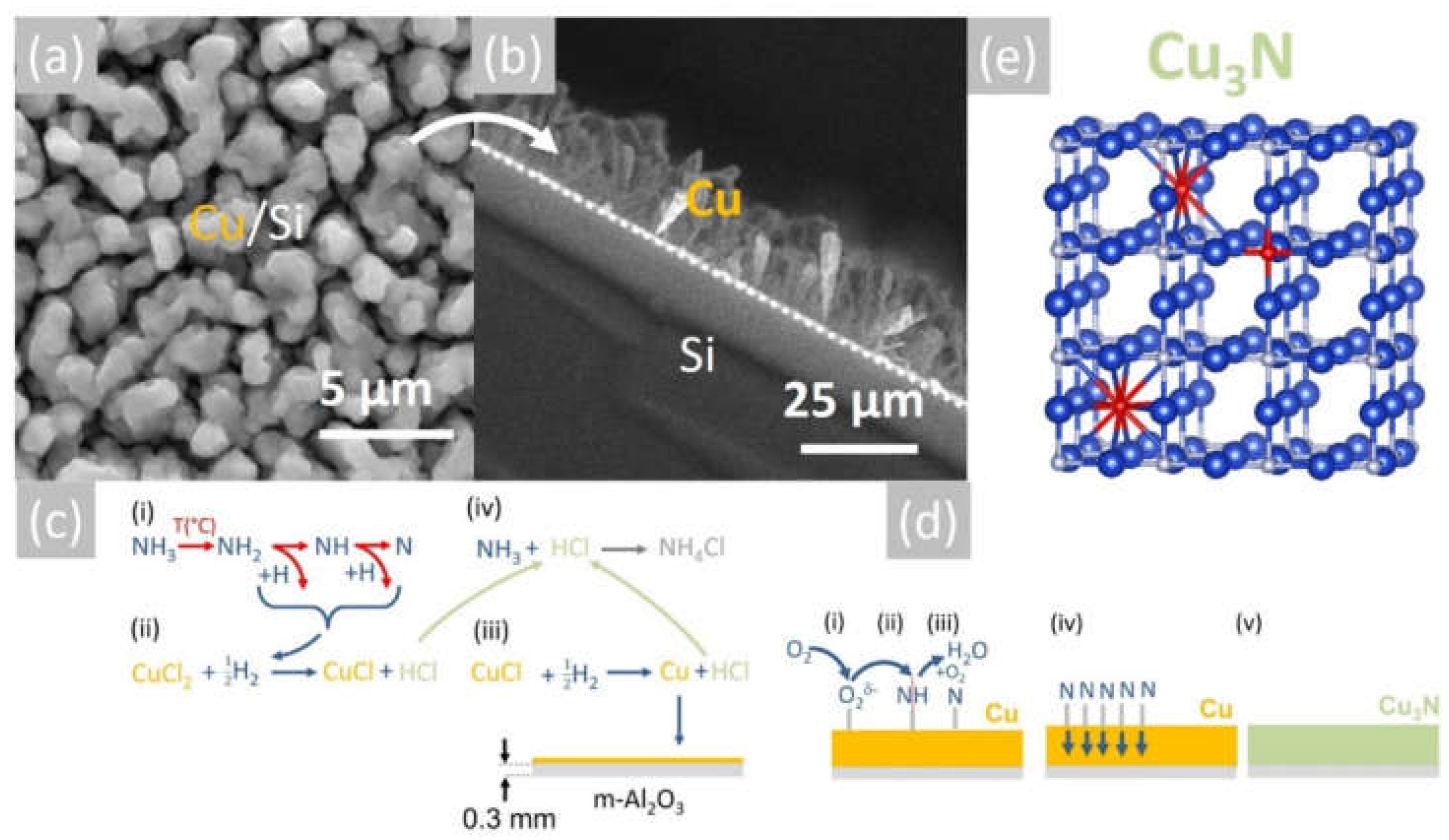 Materials 15 08966 g003