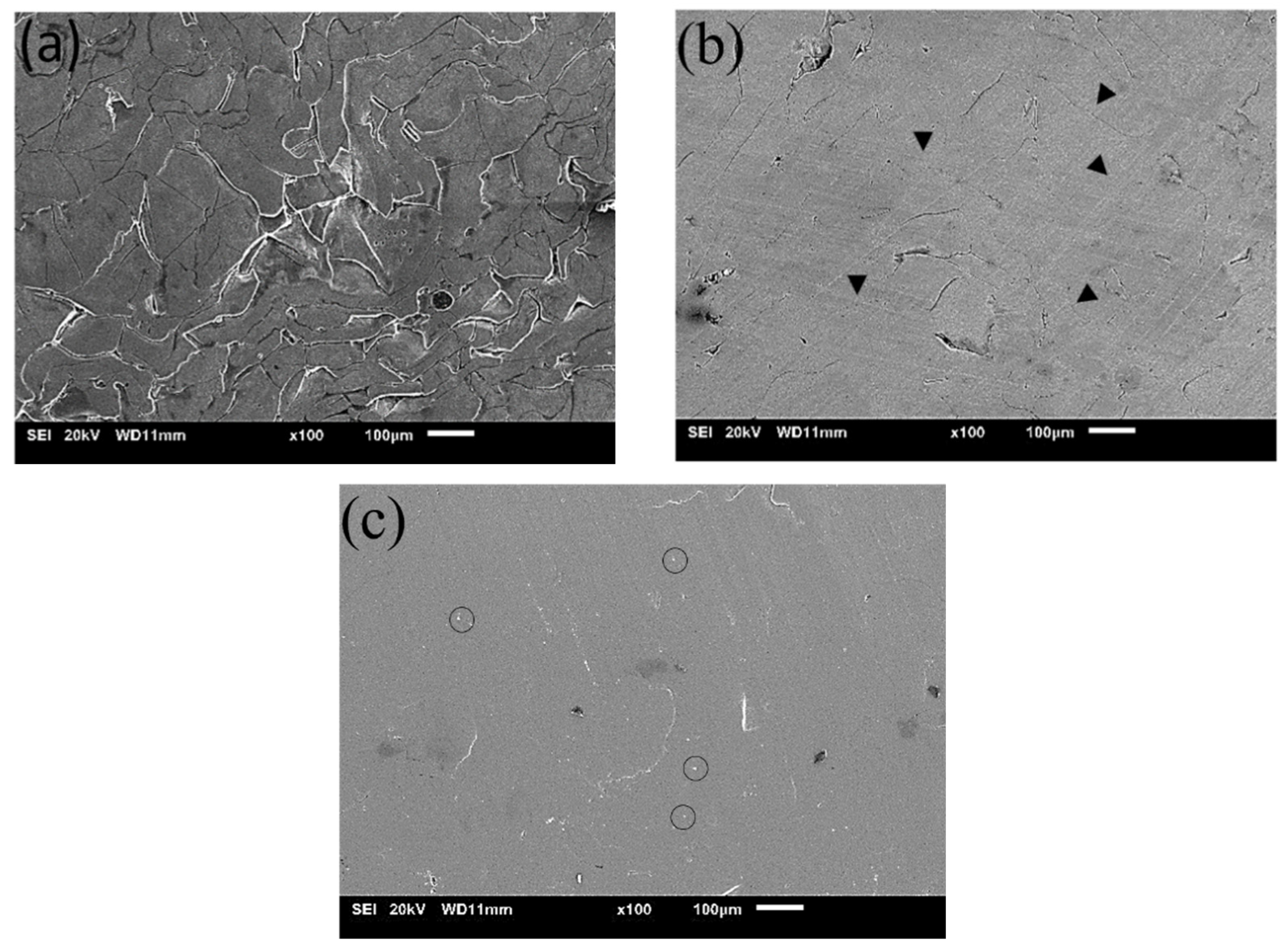 Materials 15 08989 g003 Materials 15 08989 g003