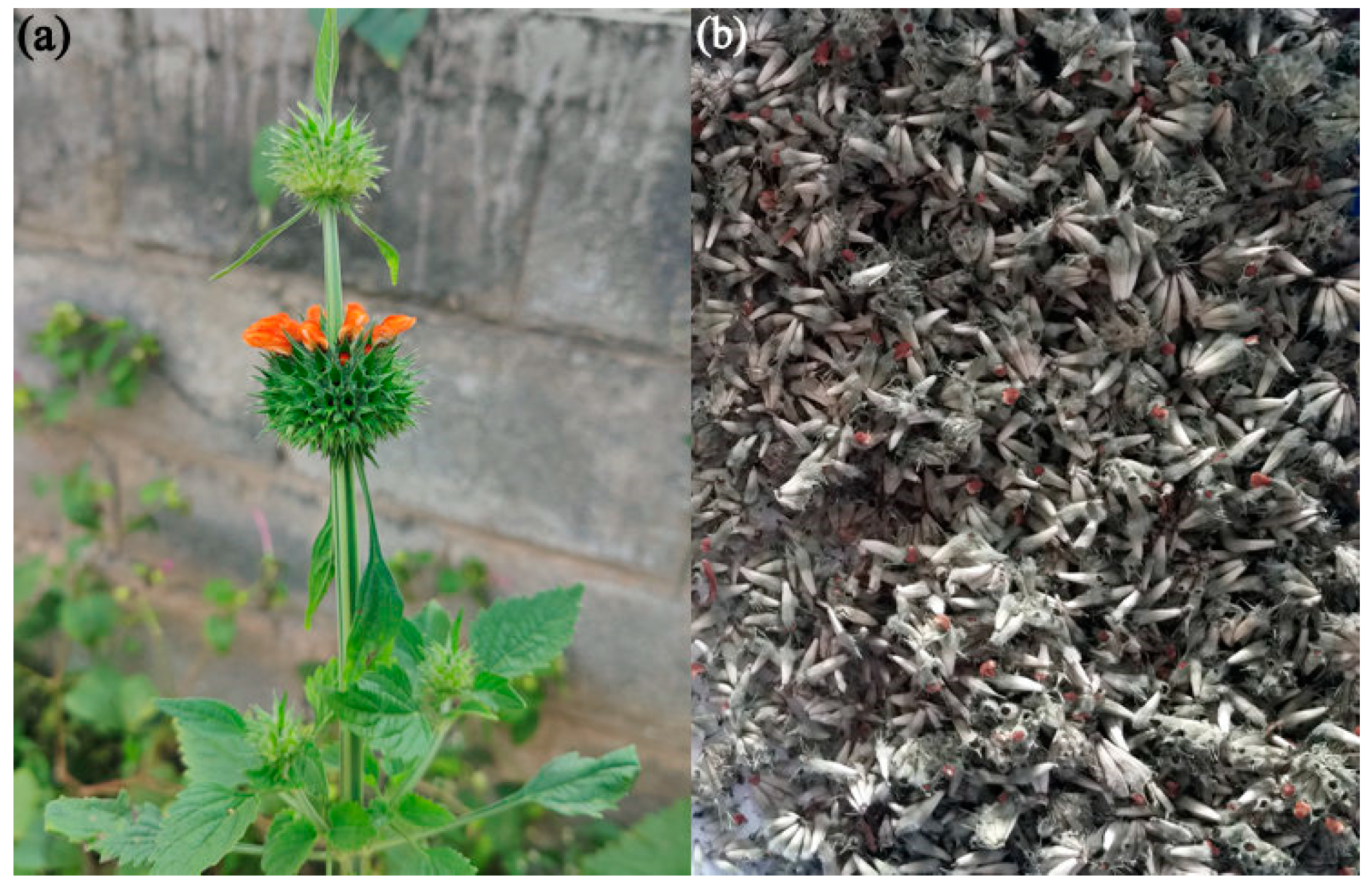 Materials 15 08990 g001