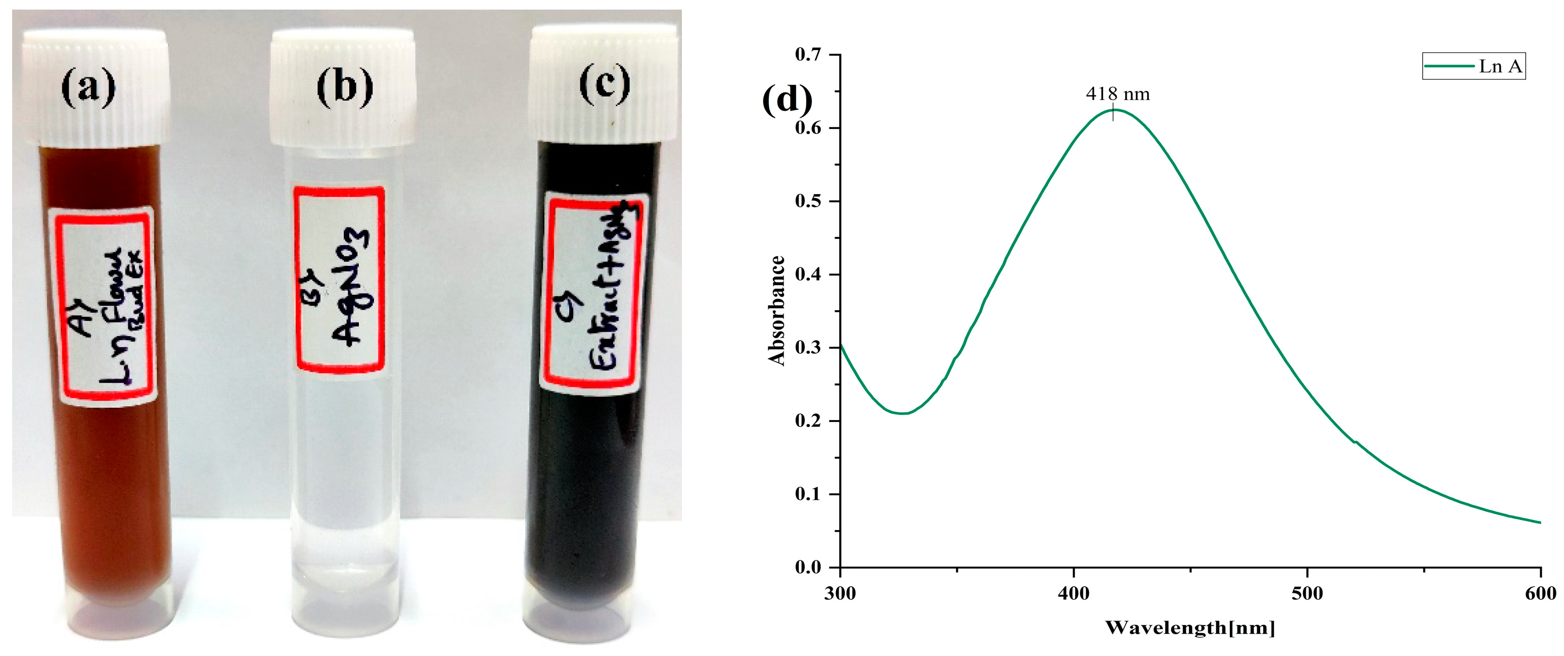 Materials 15 08990 g003