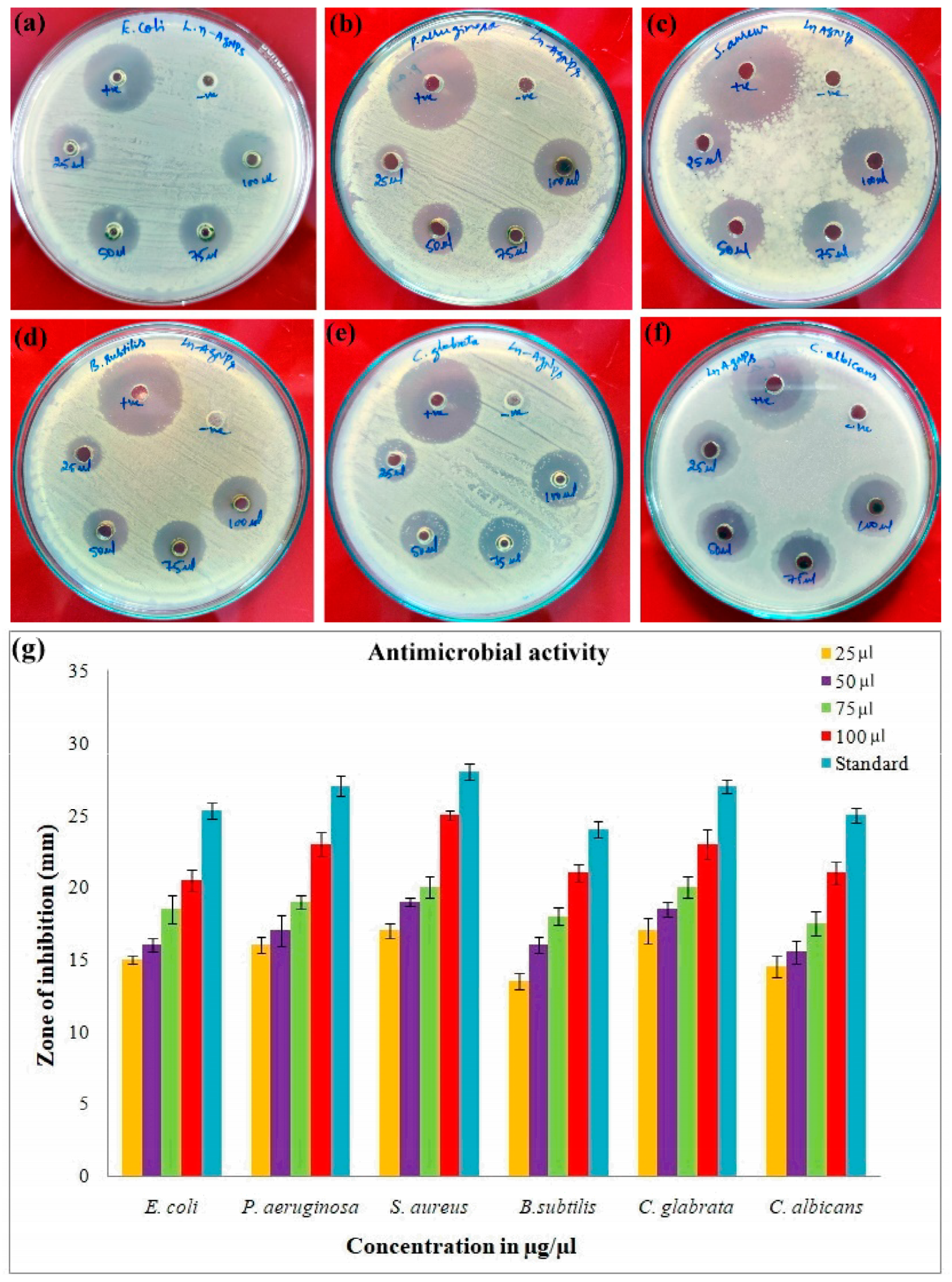 Materials 15 08990 g011