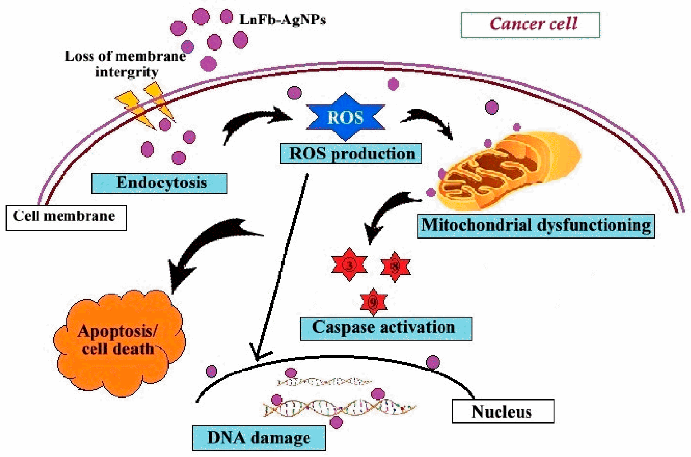 Materials 15 08990 g013