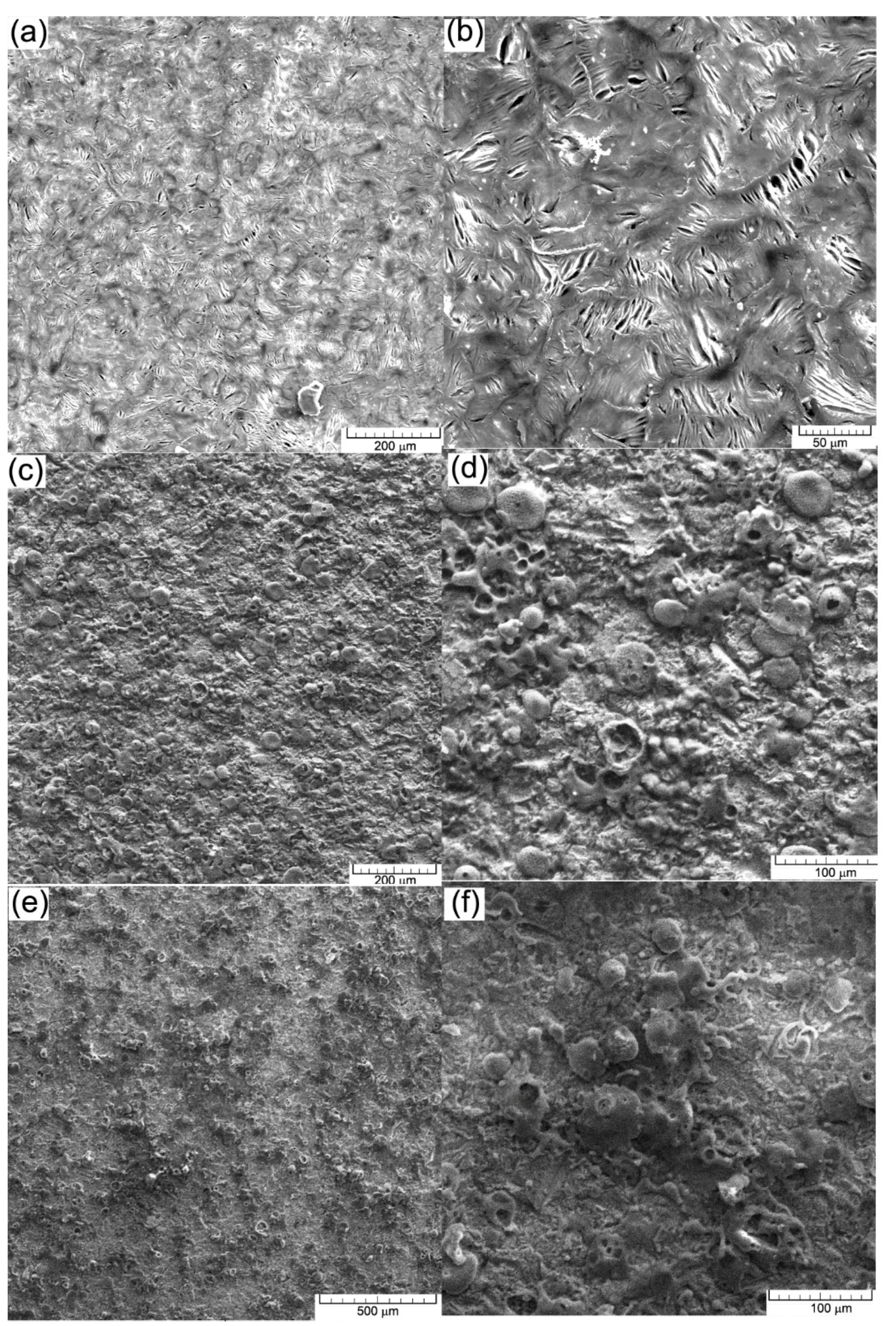 Materials 15 09013 g012