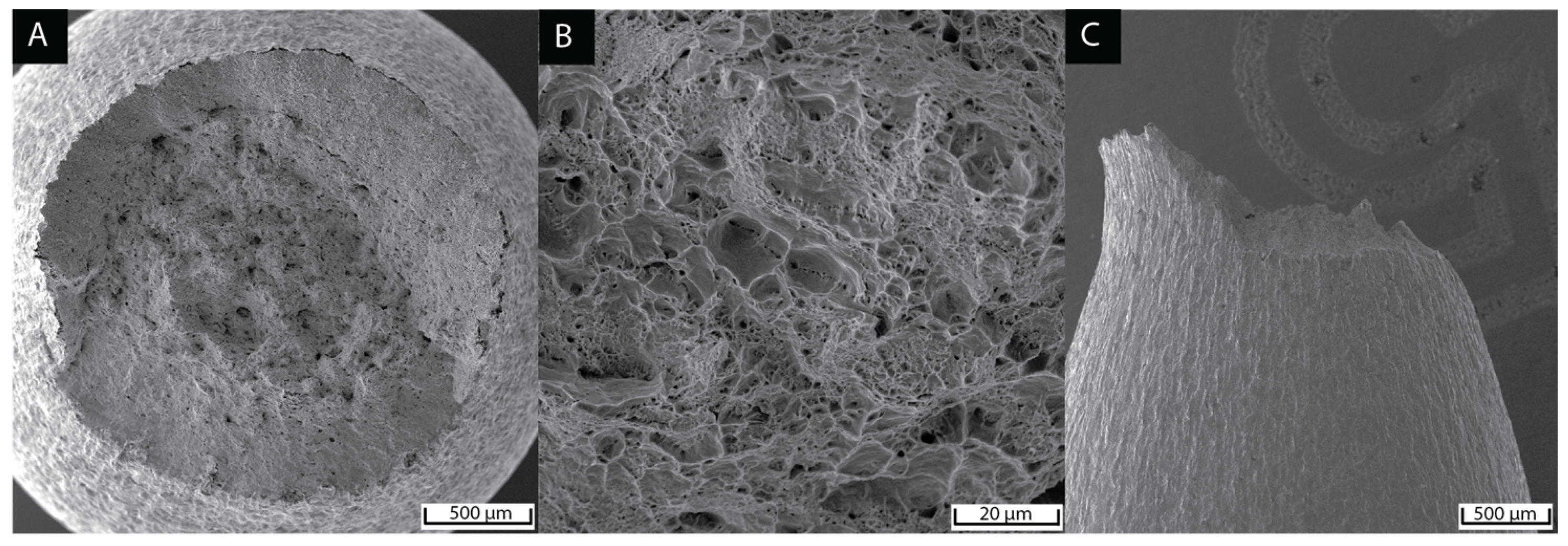 Materials 15 09018 g009