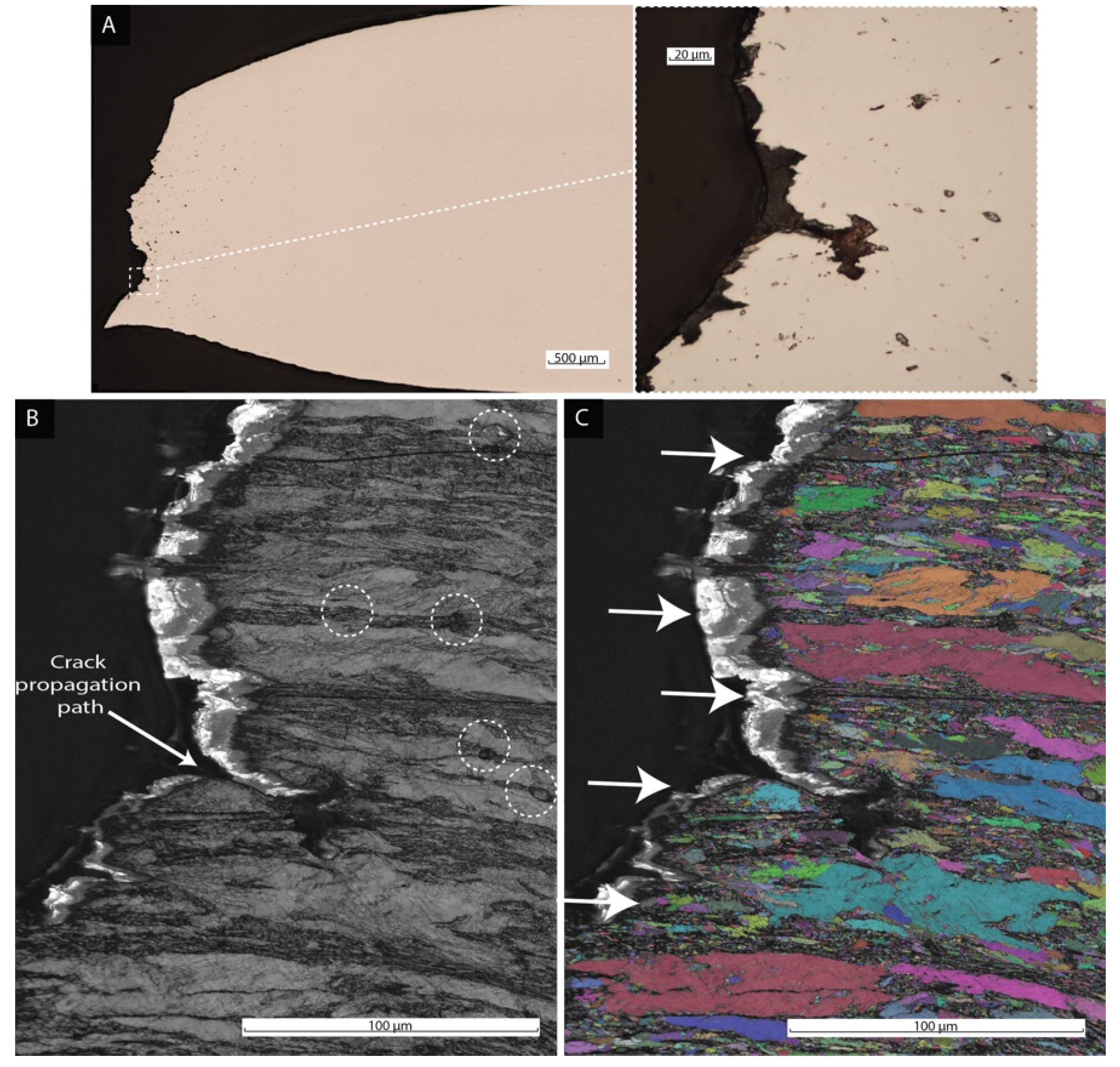 Materials 15 09018 g010