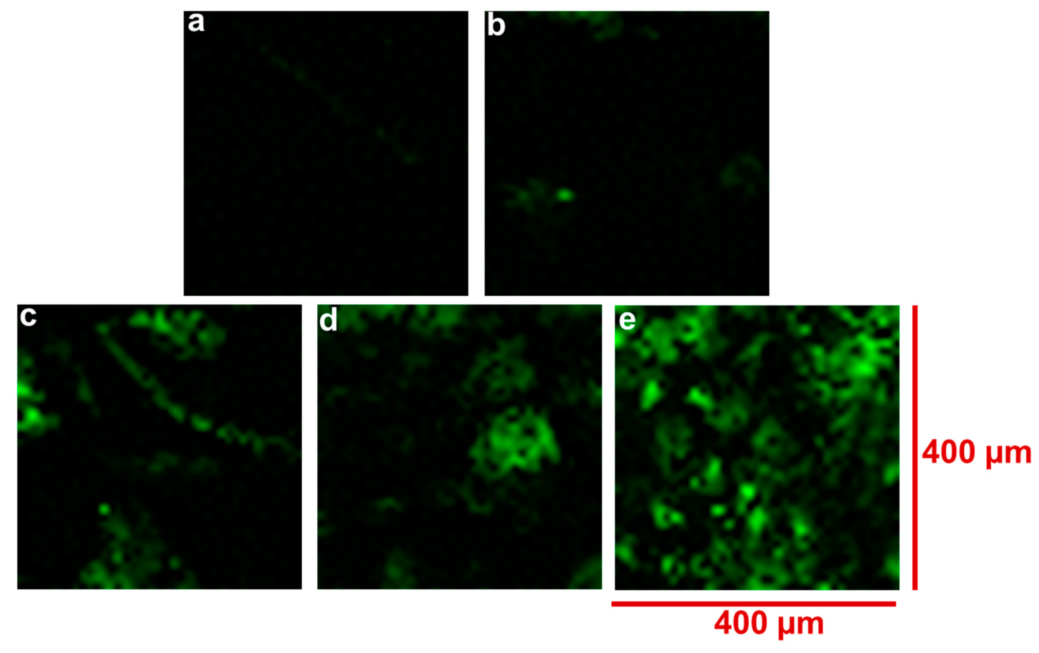 Materials 15 09030 g003