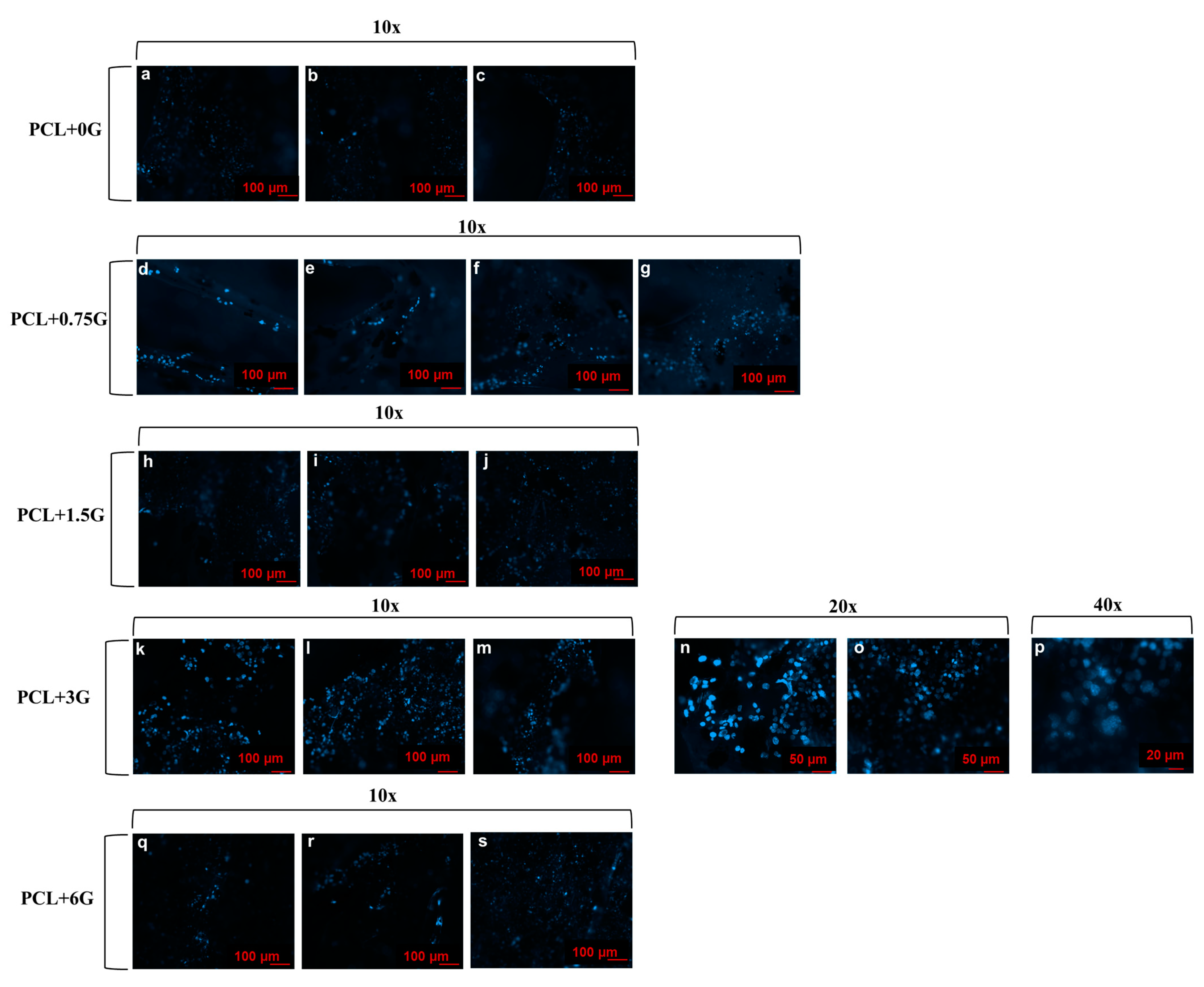 Materials 15 09030 g010