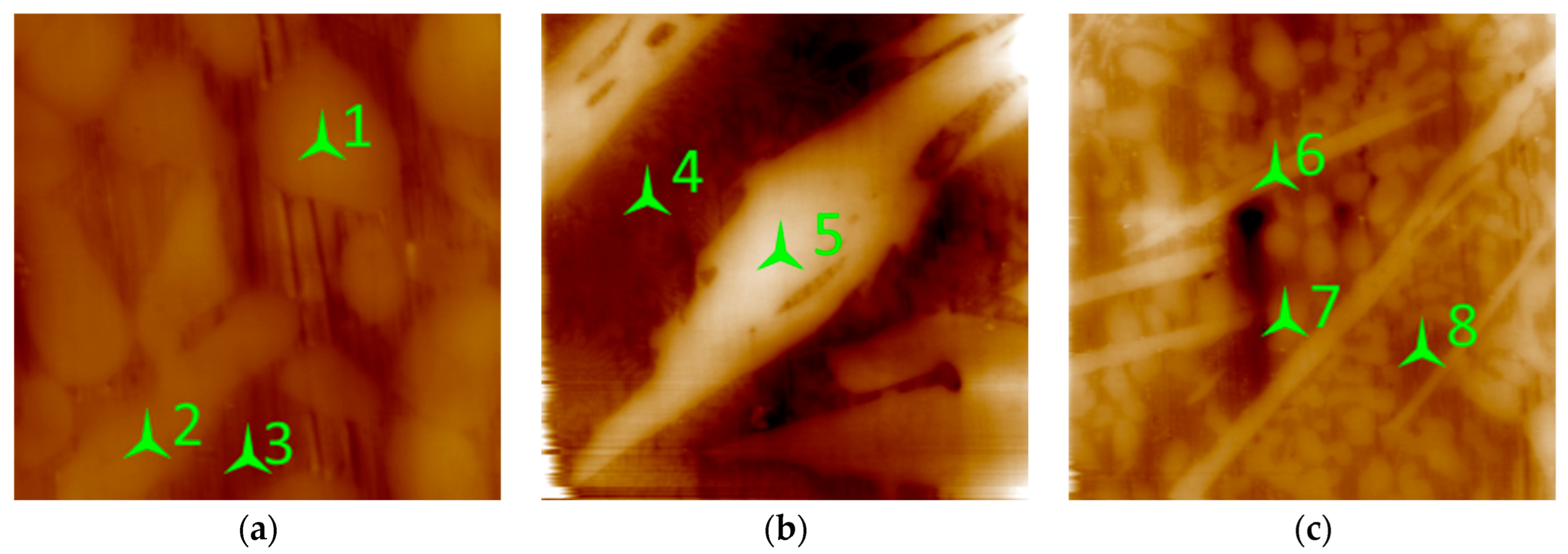 Materials 15 09031 g006