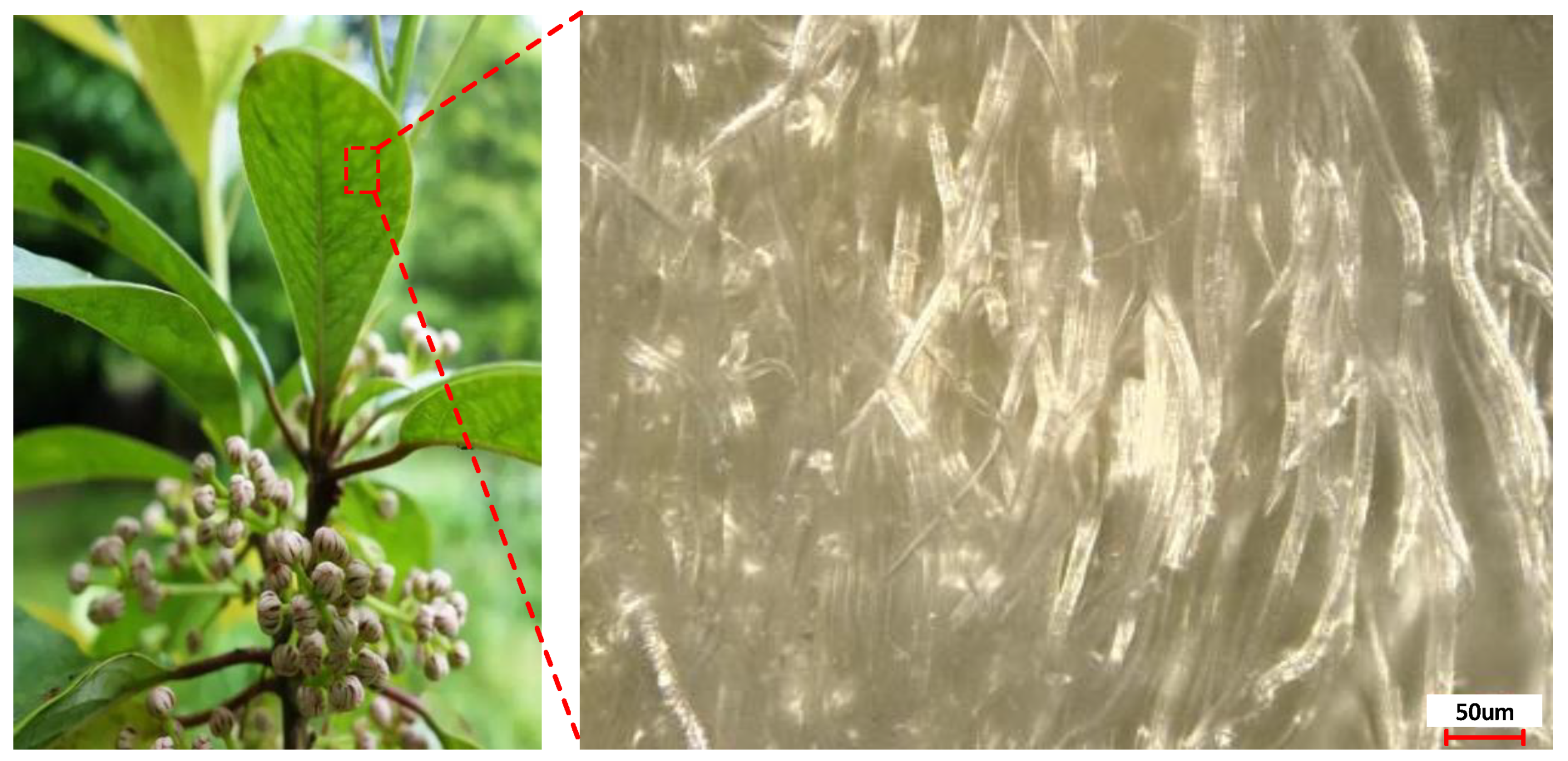 Materials 15 09040 g001 Materials 15 09040 g001