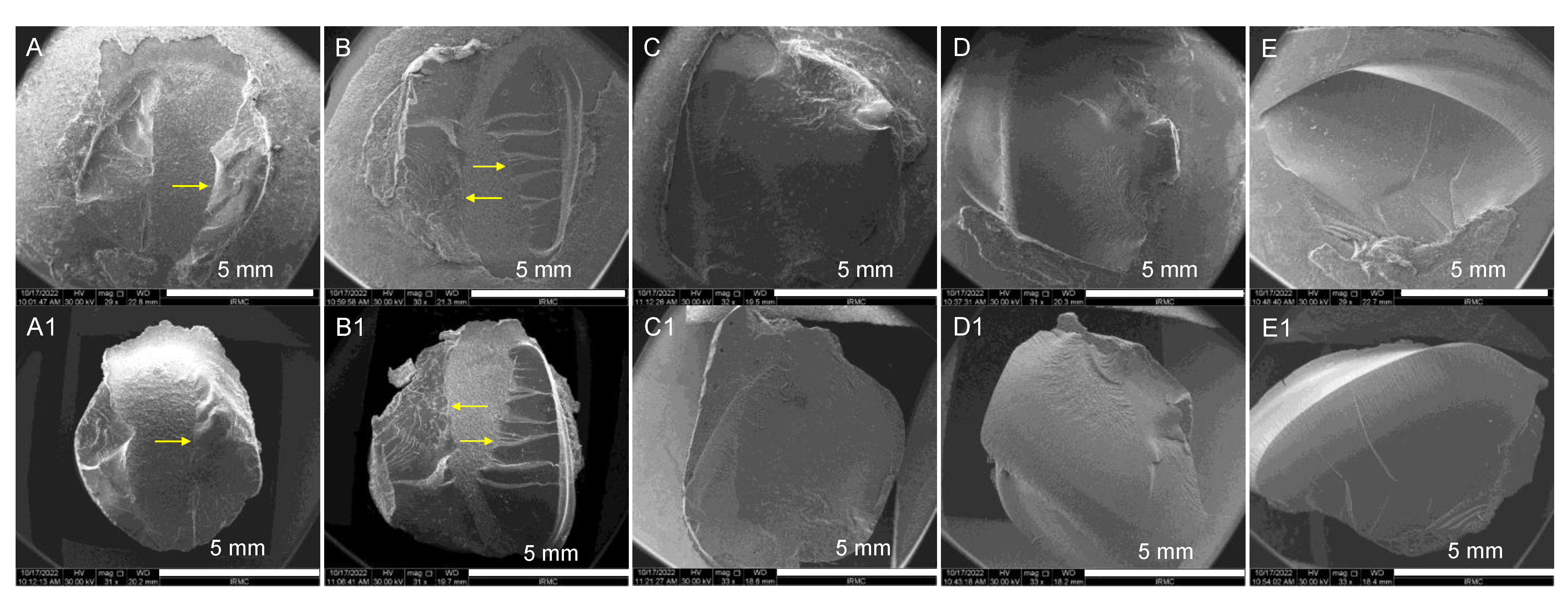 Materials 15 09062 g003