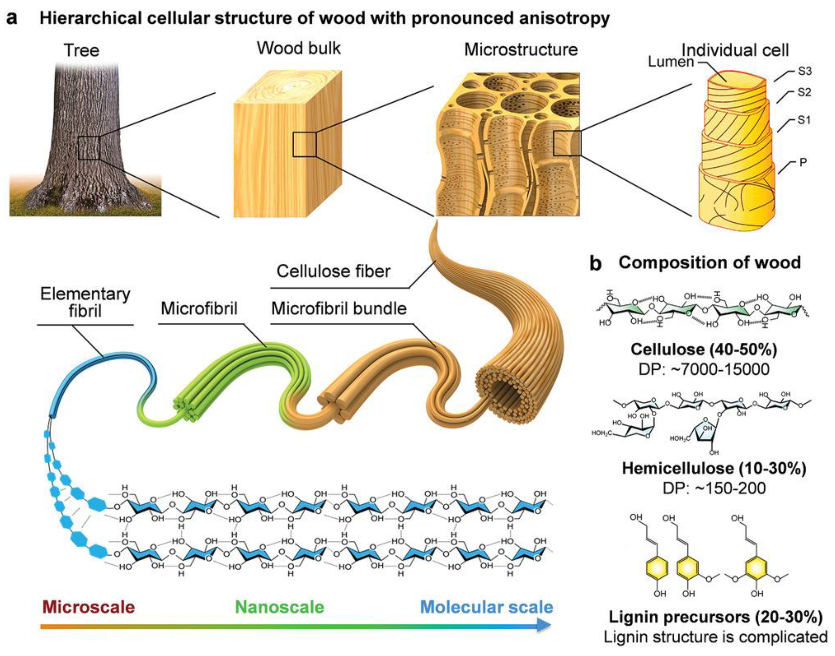 Materials 15 09069 g004