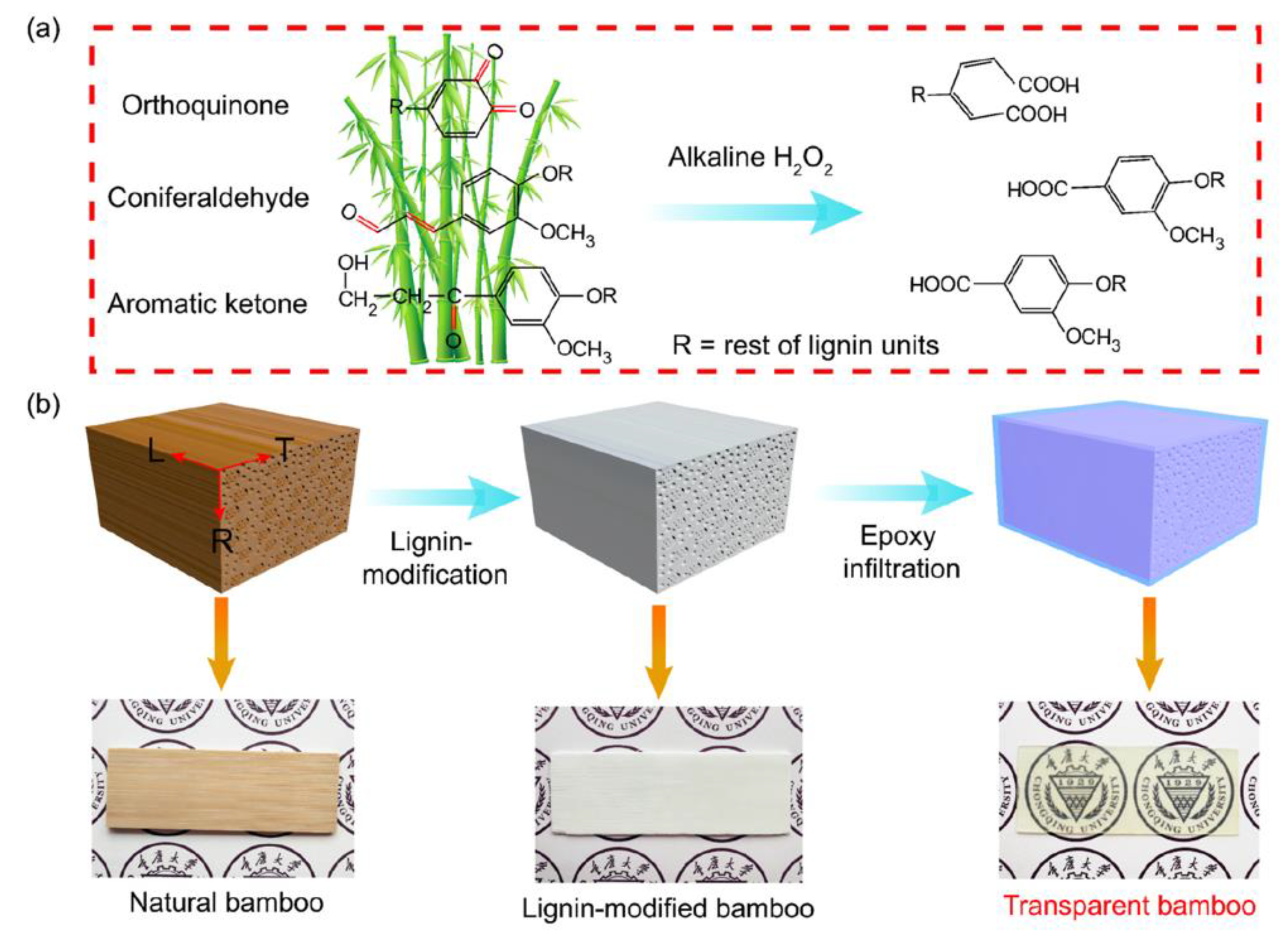 Materials 15 09069 g010