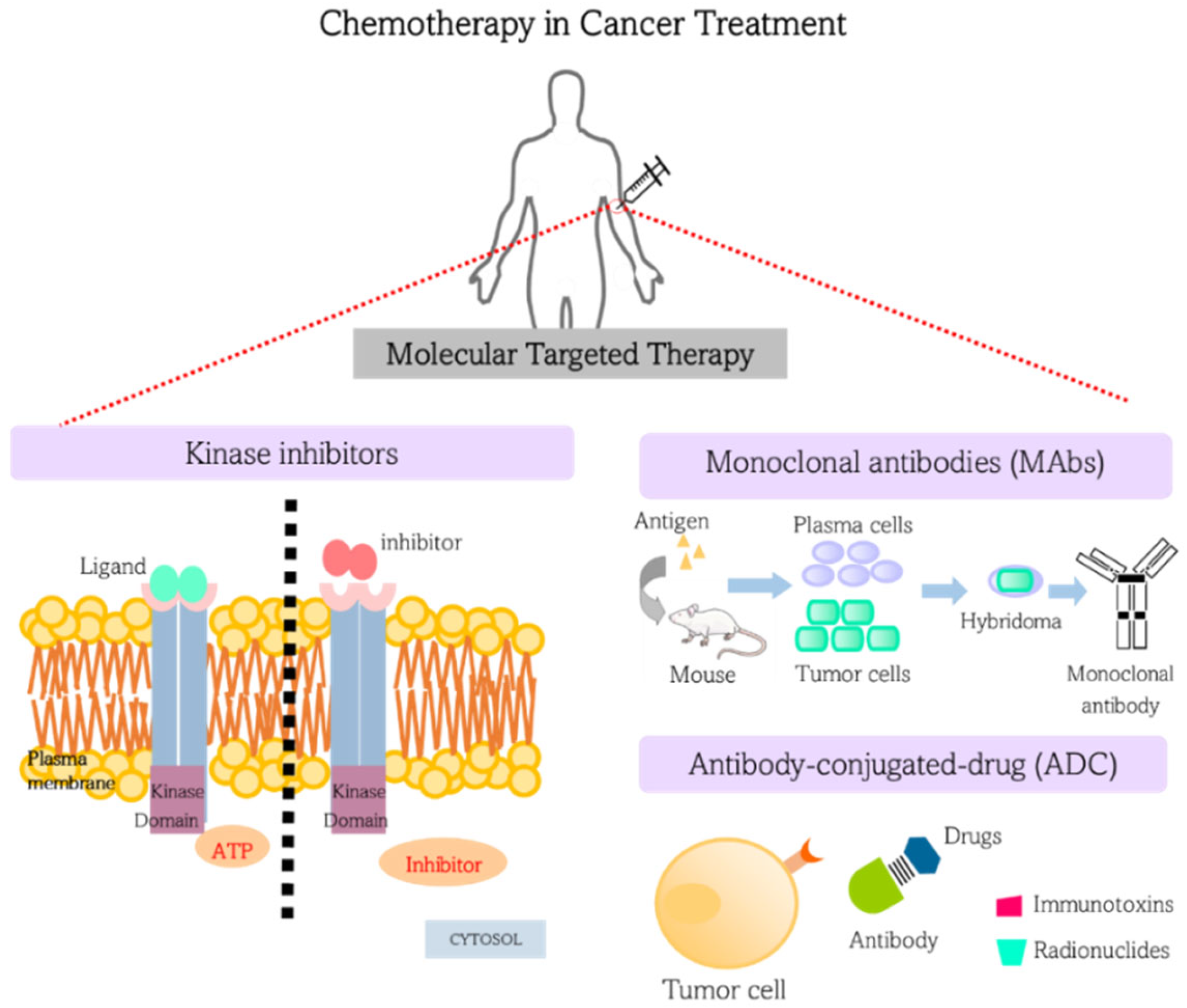 Materials 15 09082 g001 Materials 15 09082 g001