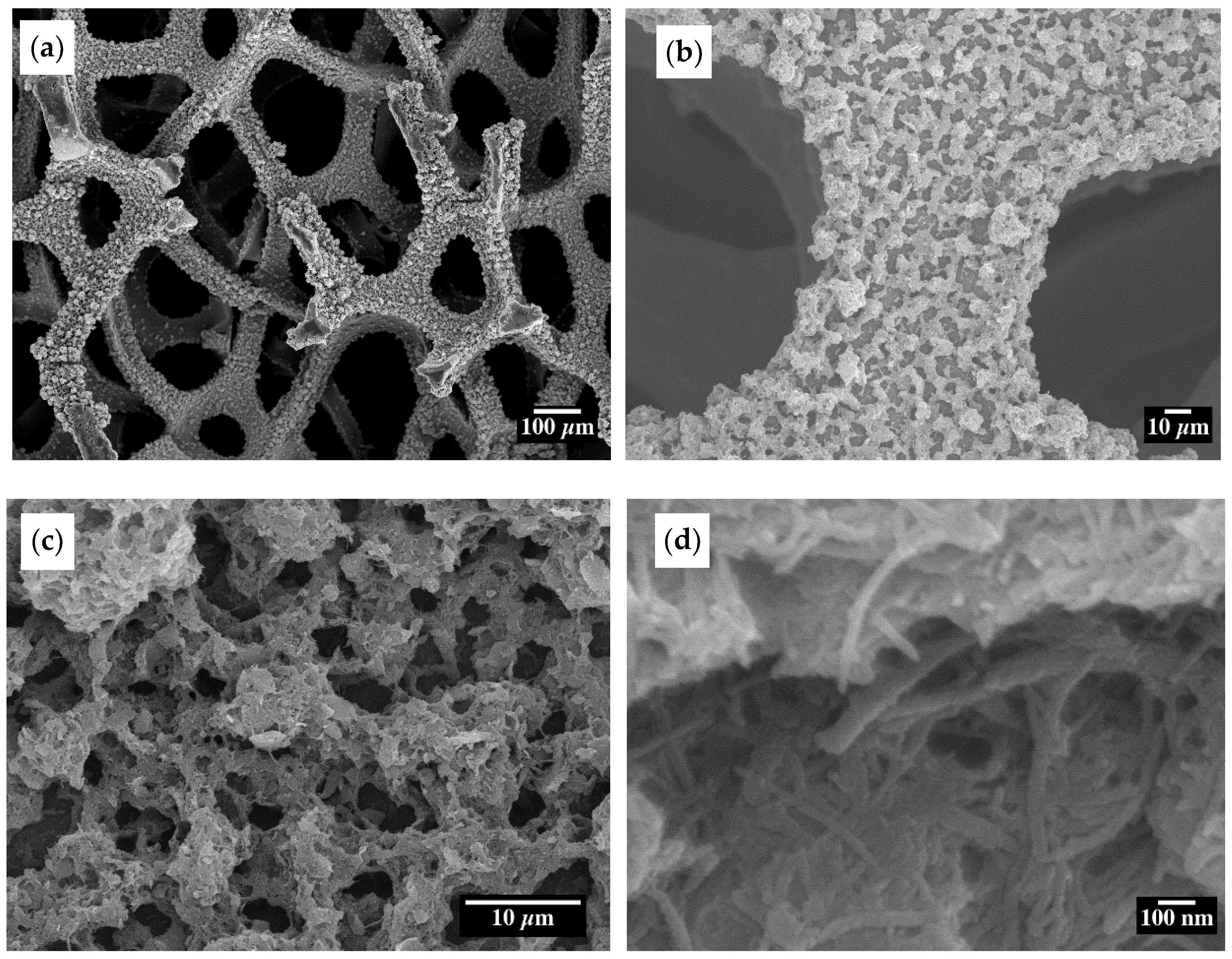 Materials 15 09086 g003