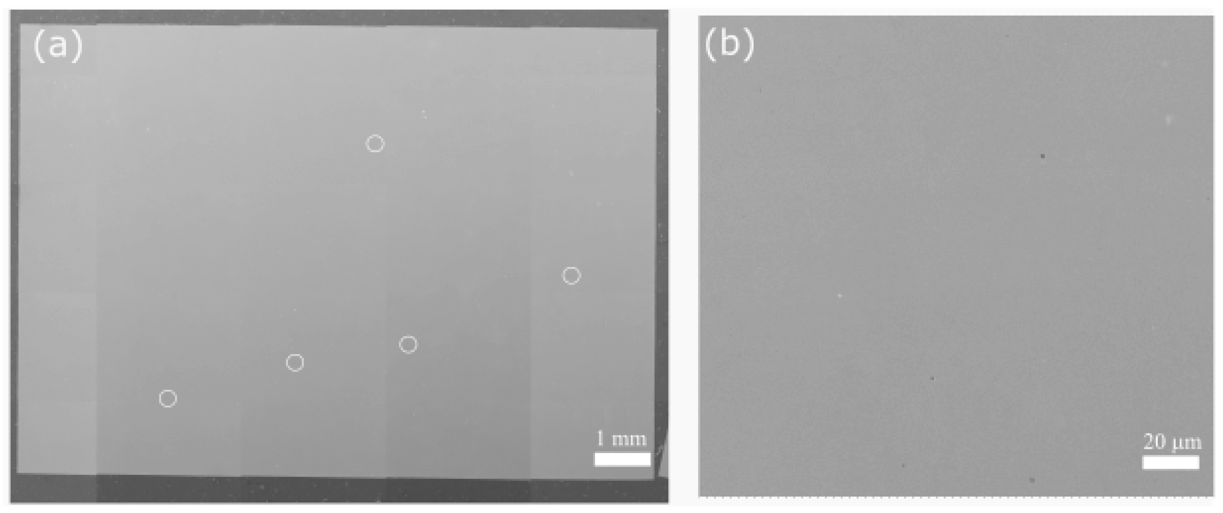 Materials 16 00001 g004 Materials 16 00001 g004