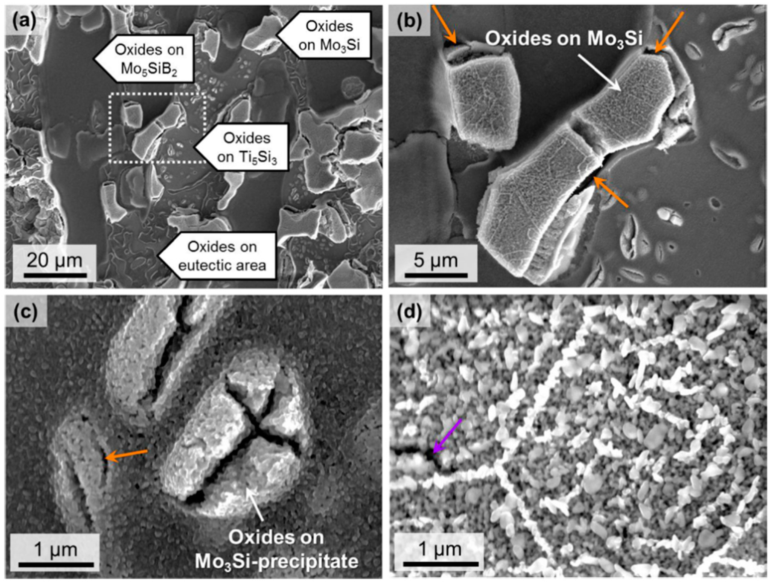 Materials 16 00003 g014