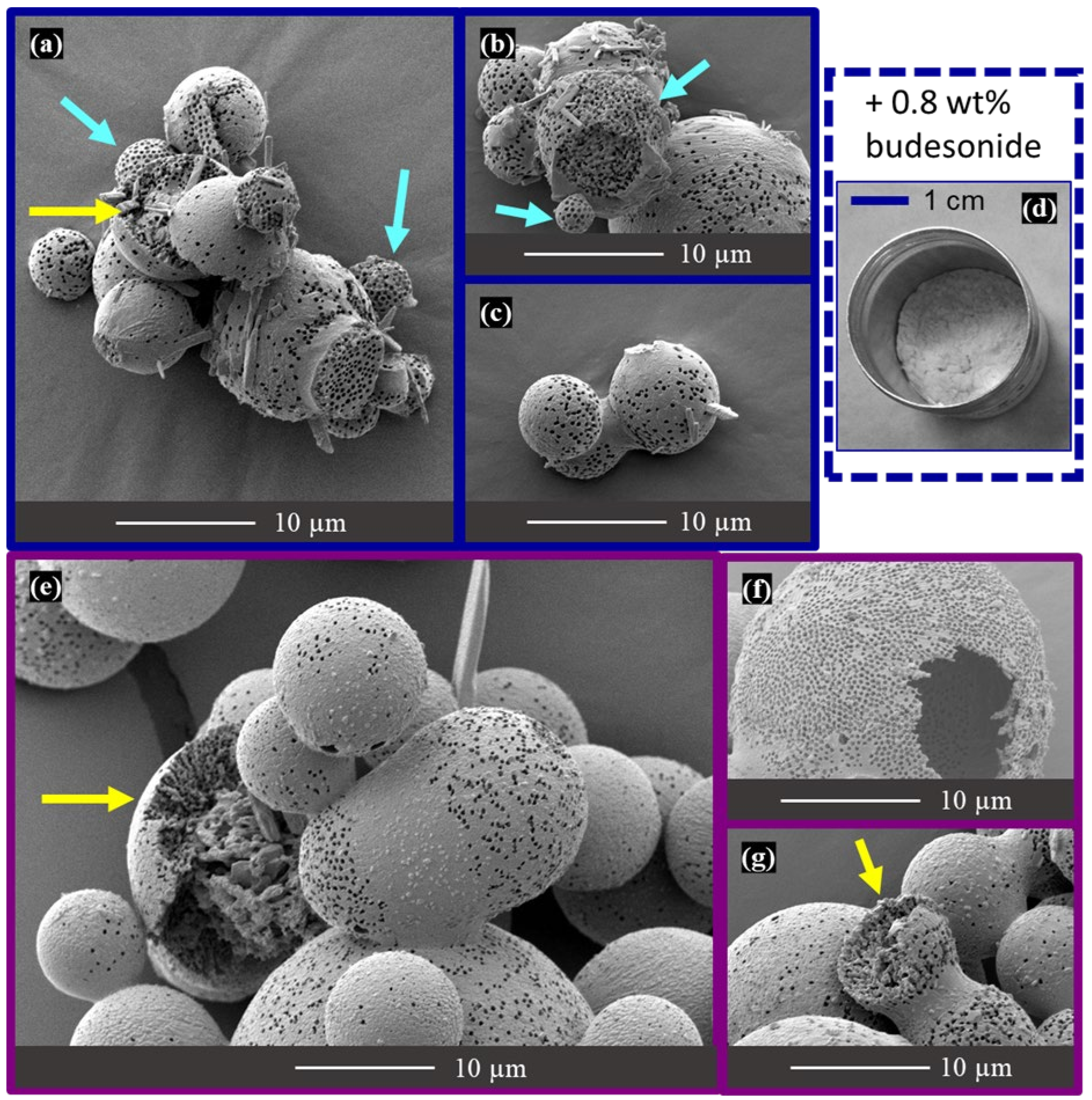 Materials 16 00025 g009 Materials 16 00025 g009