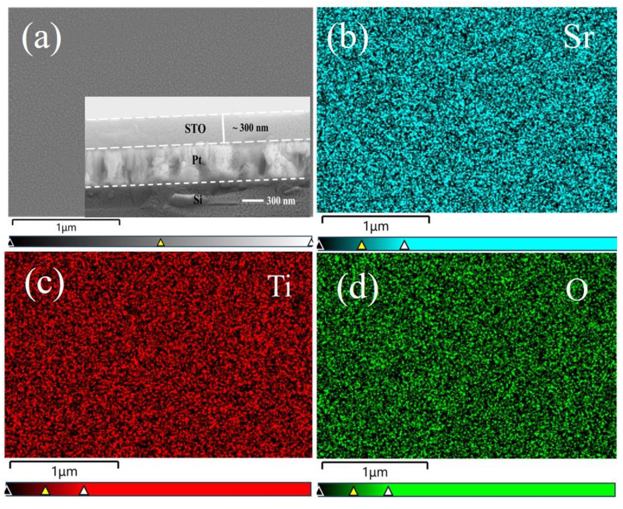 Materials 16 00031 g003 Materials 16 00031 g003